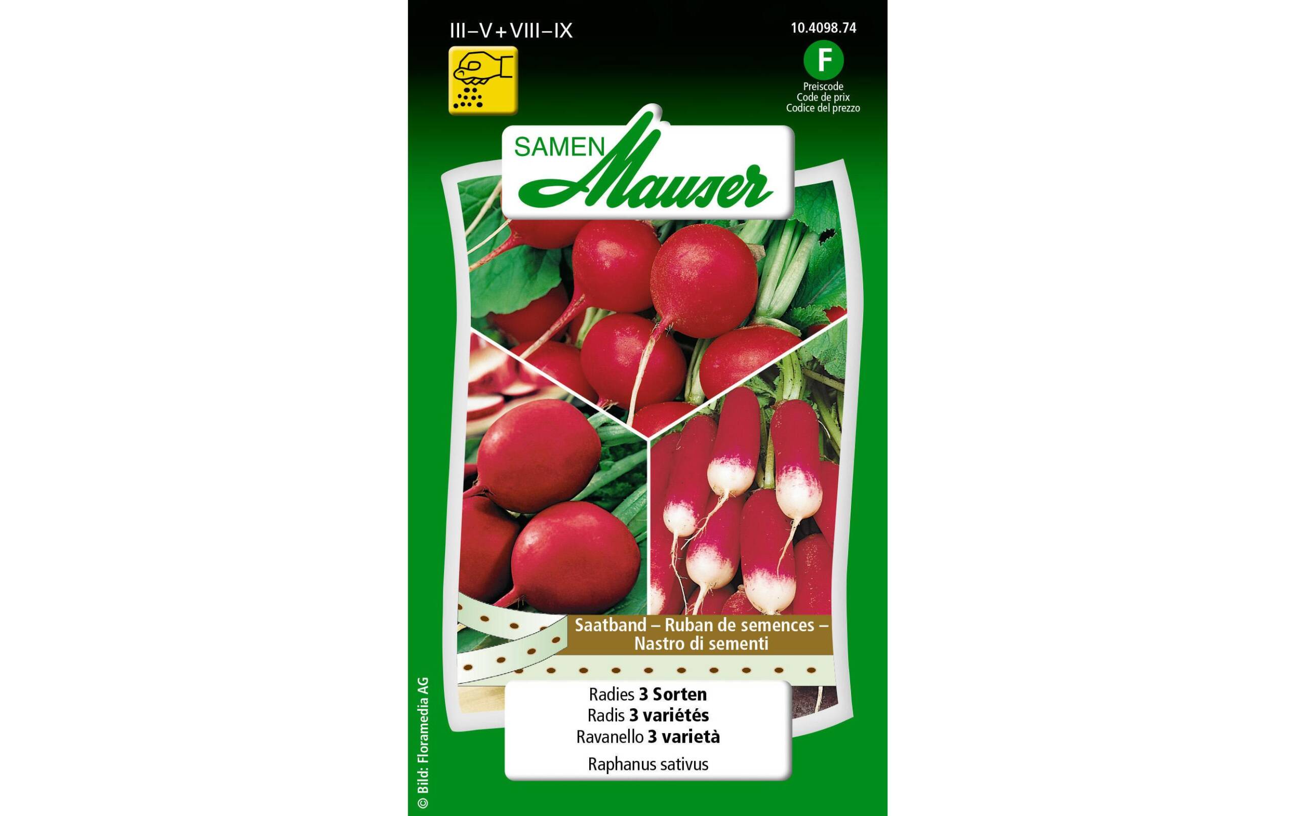 Saatband Radies 3 Sorten Saatband Raphanus sativus