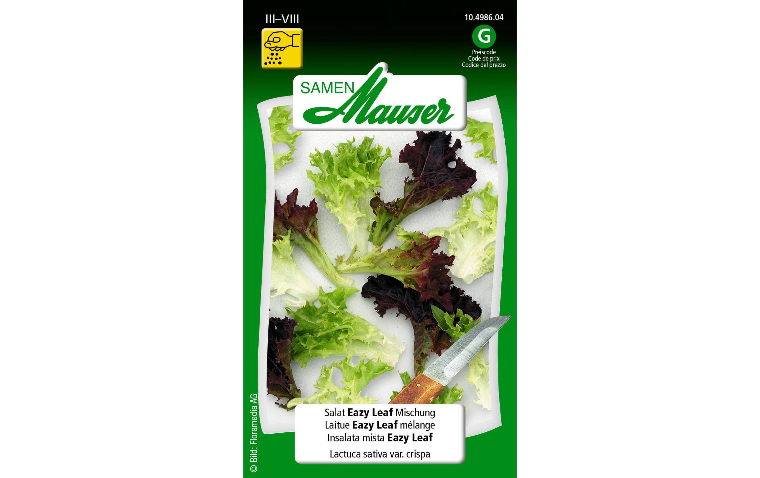 Salat Eazy Leaf Mischung Lactuca sativa var. Crispa – Bild 2