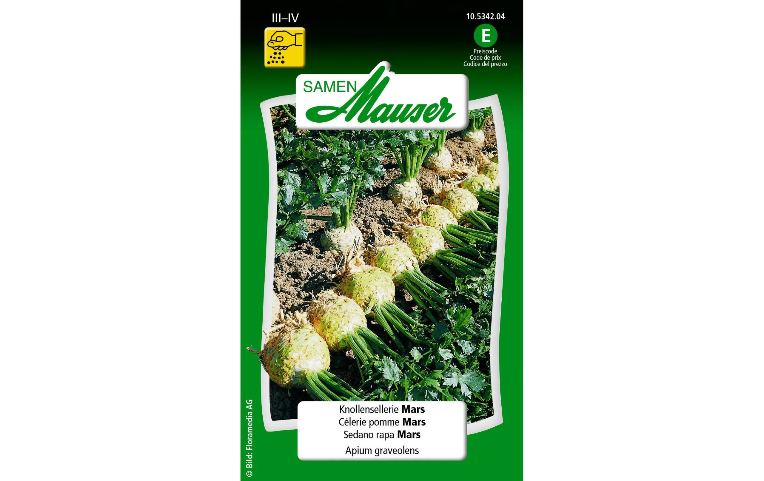 Knollensellerie Mars Apium graveolens