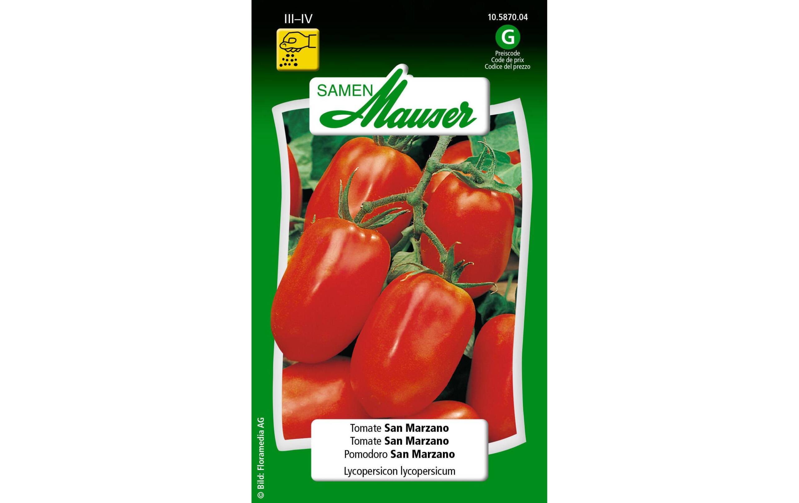 Tomate San Marzano F1 Lypopersicon lycopersicum