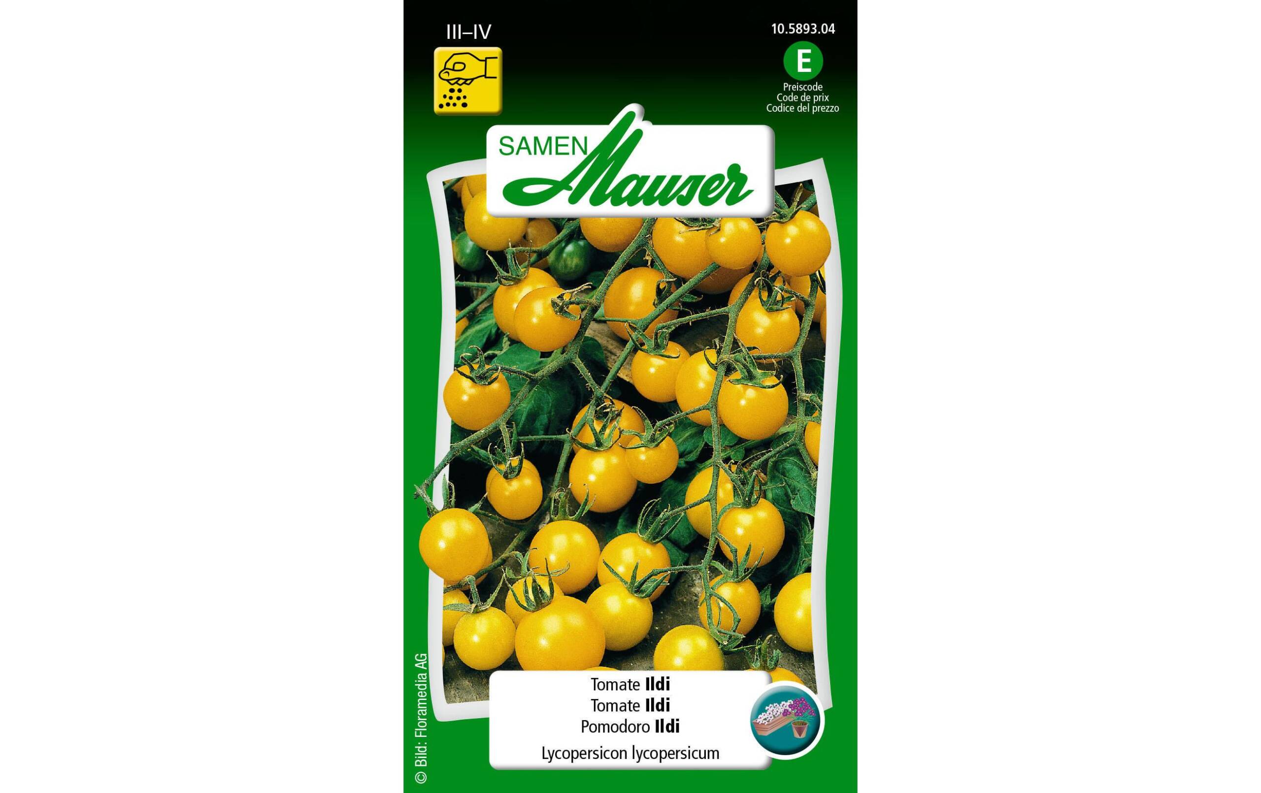 Tomate Ildi Lypopersicon lycopersicum