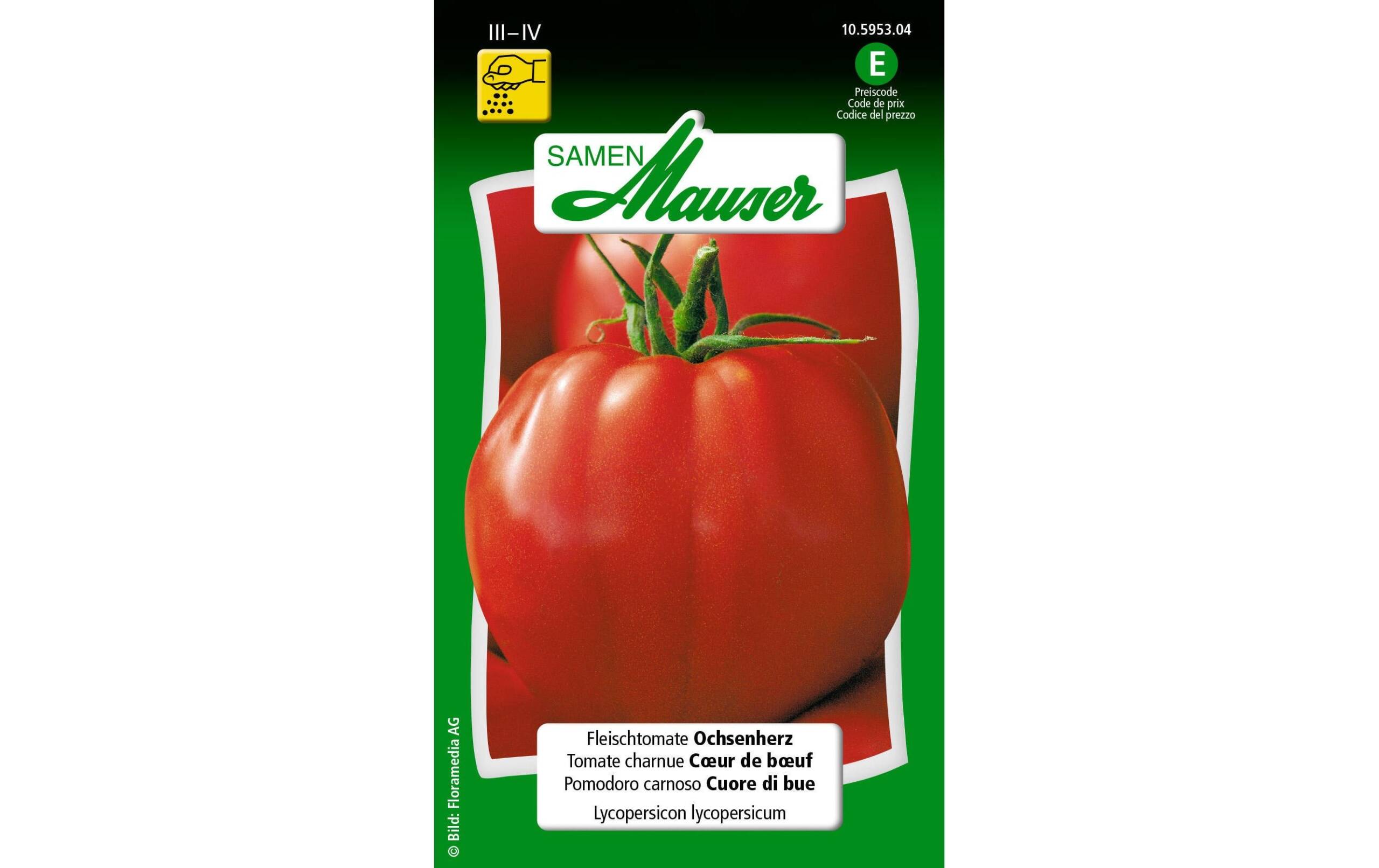 Fleischtomate Ochsenherz Lypopersicon lycopersicum