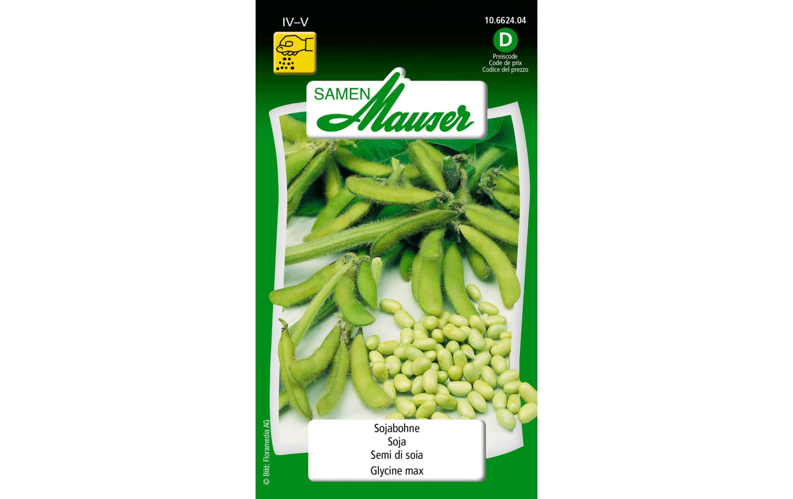 Sojabohne Glycine max