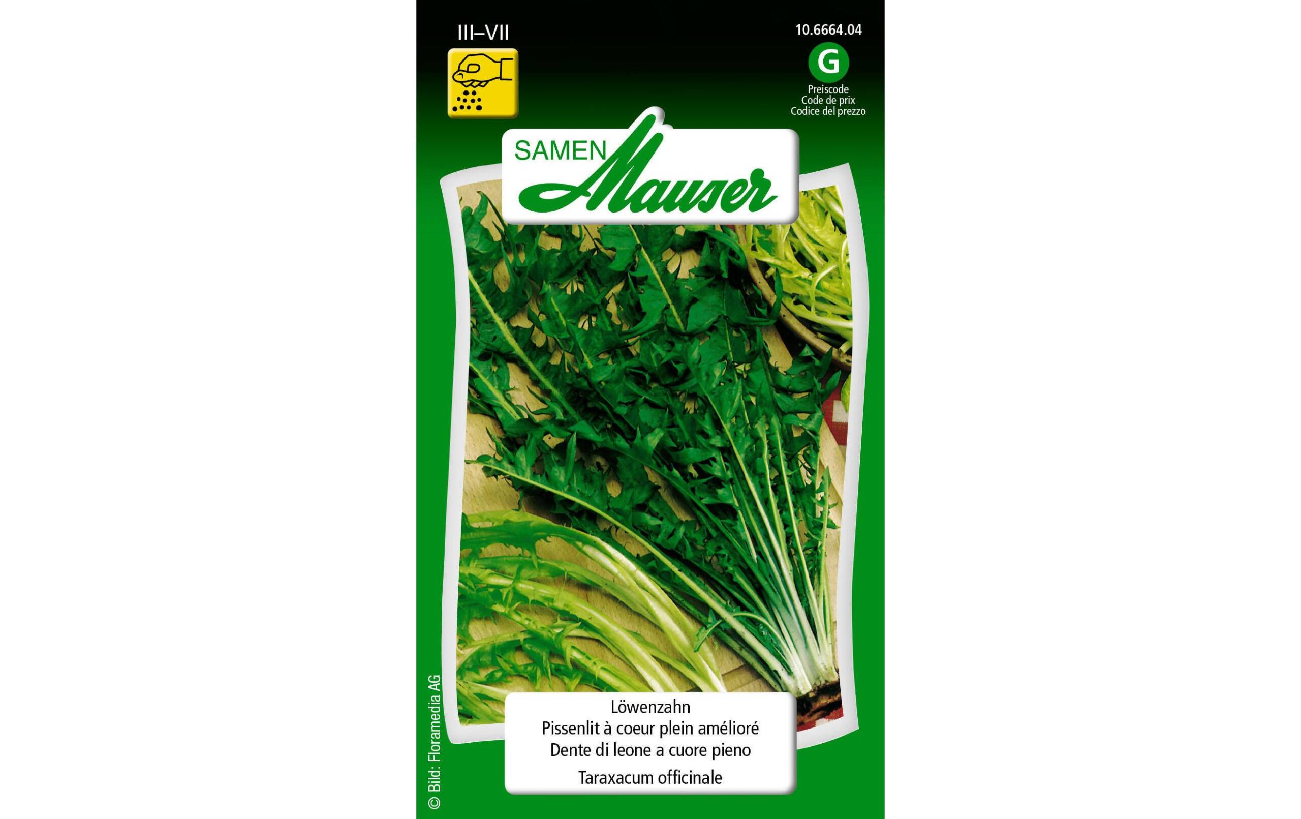 Löwenzahn vollherz Taraxacum officinale