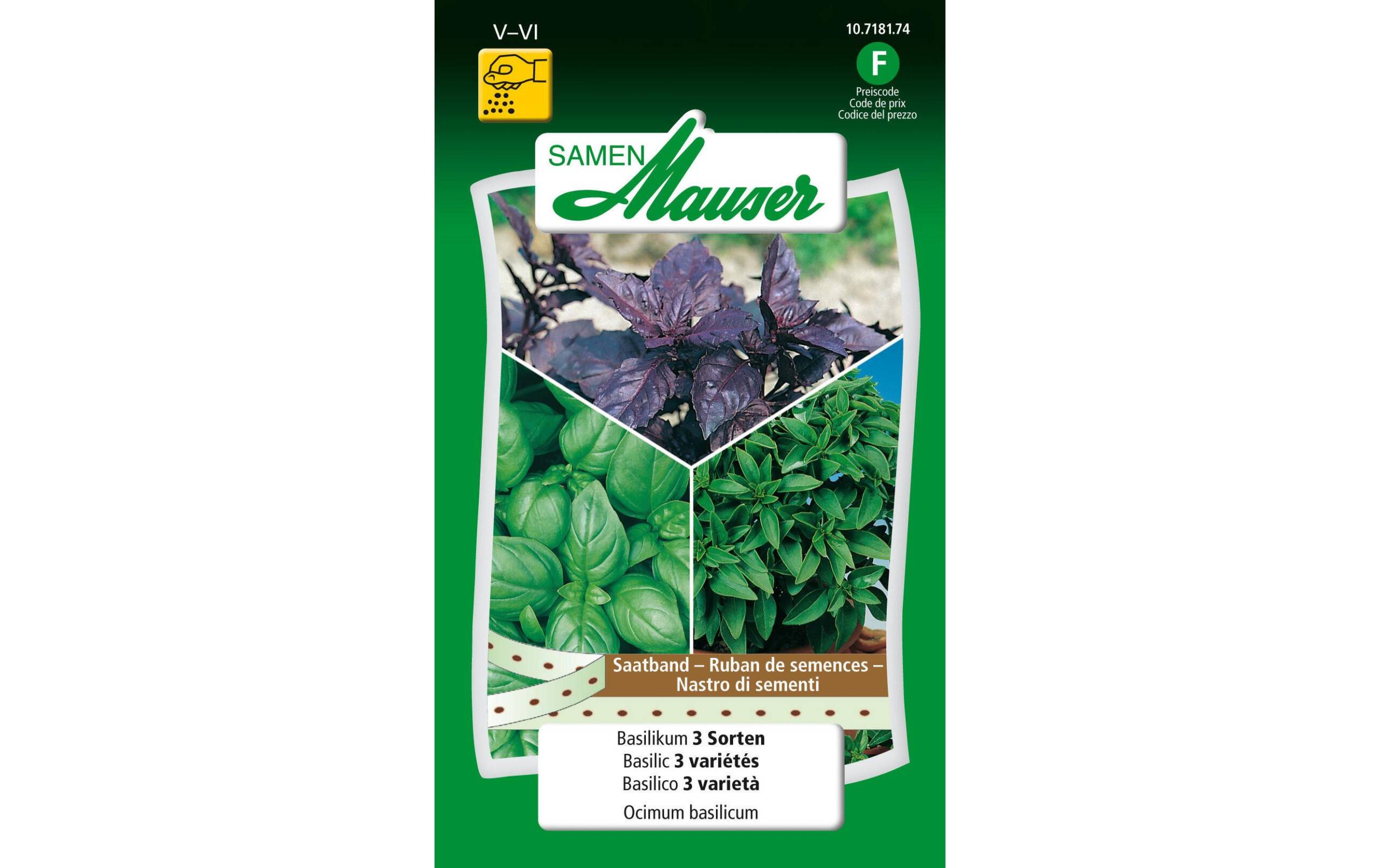 Saatband Basilikum 3 Sorten Saatband Ocimum basilicum