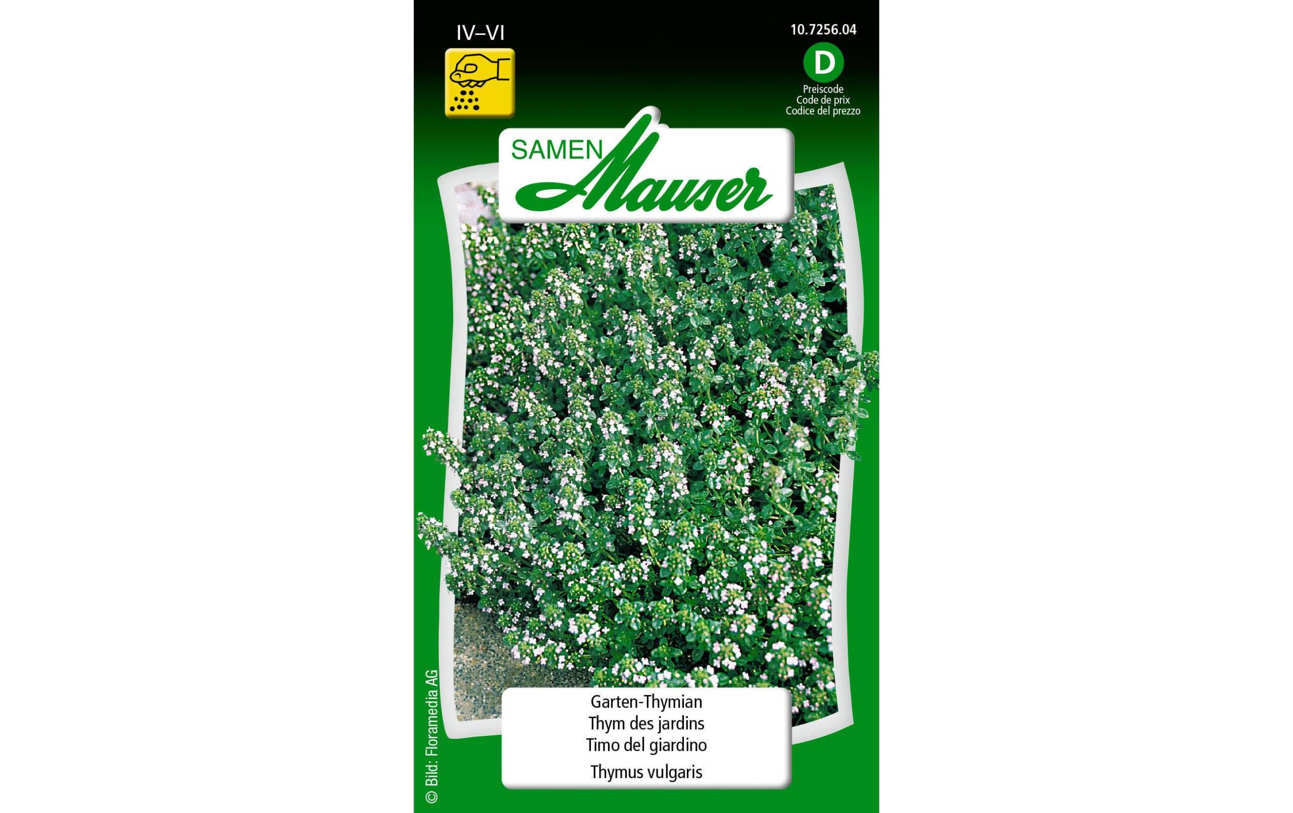 Thymian (Garten/Winter) Thymus vulgaris