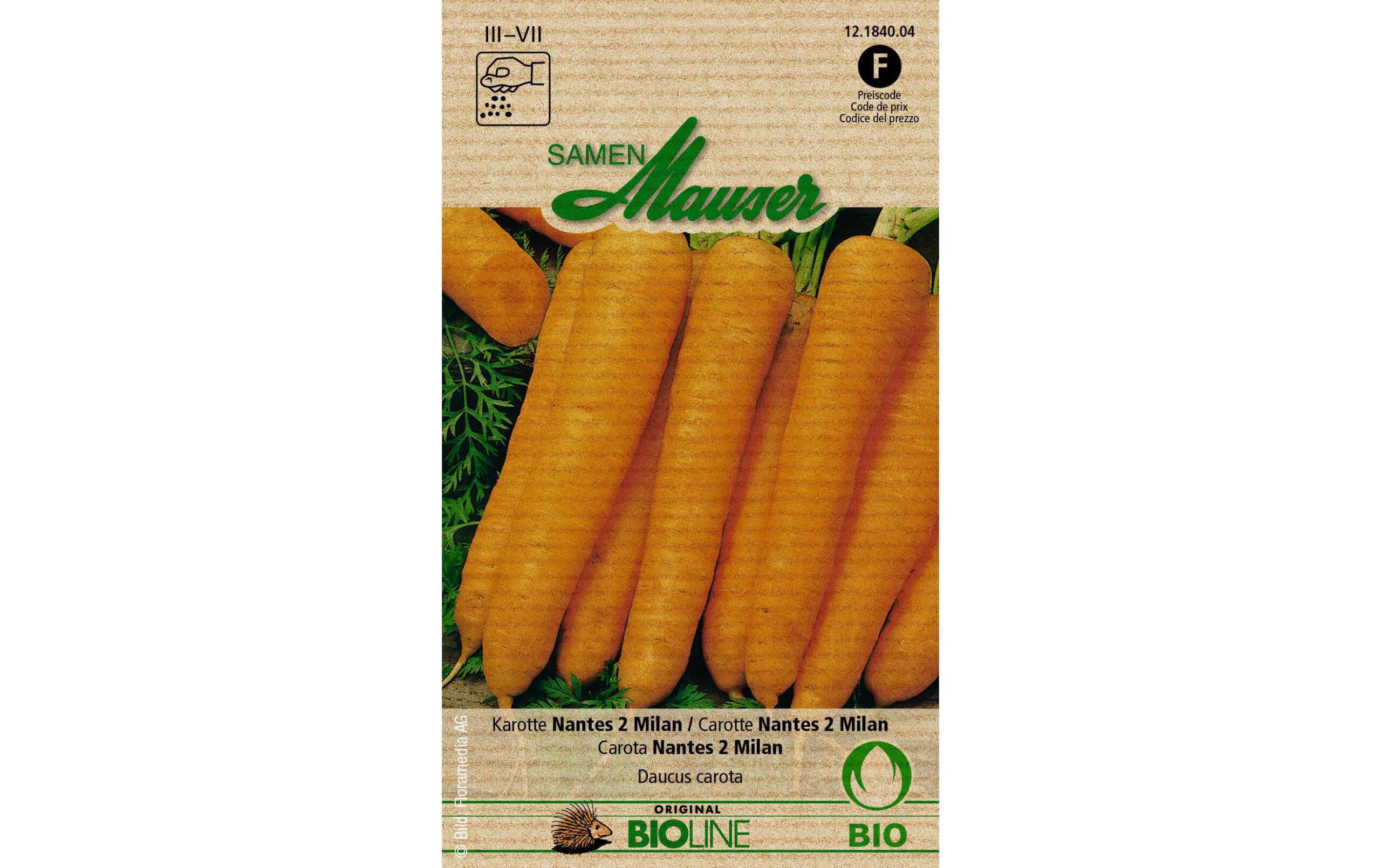 Karotte Nantes 2 Milan Aus kontr. biol. Anbau Knospe – Bild 2