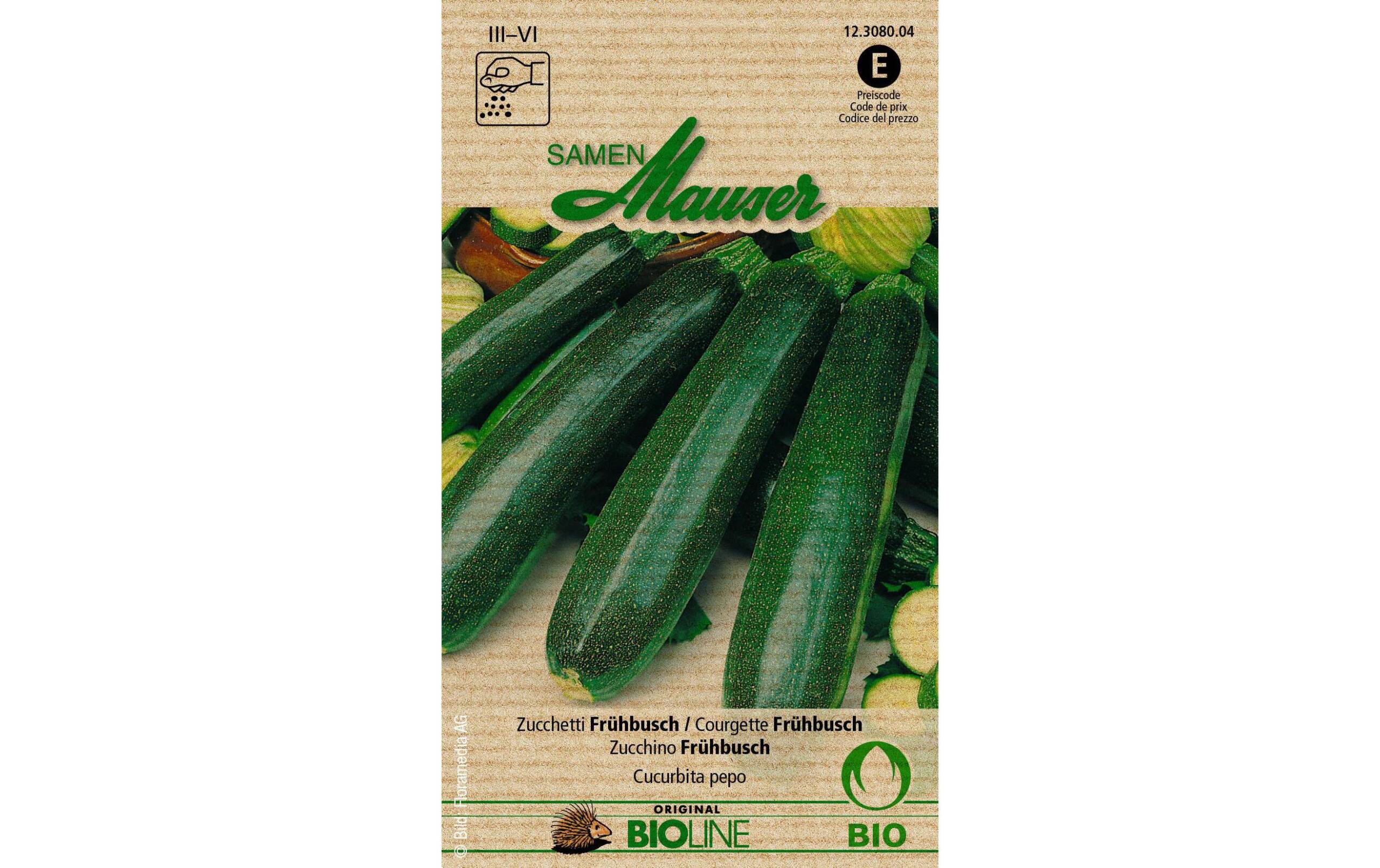 Zucchetti Frühbusch Aus kontr. biol. Anbau Knospe