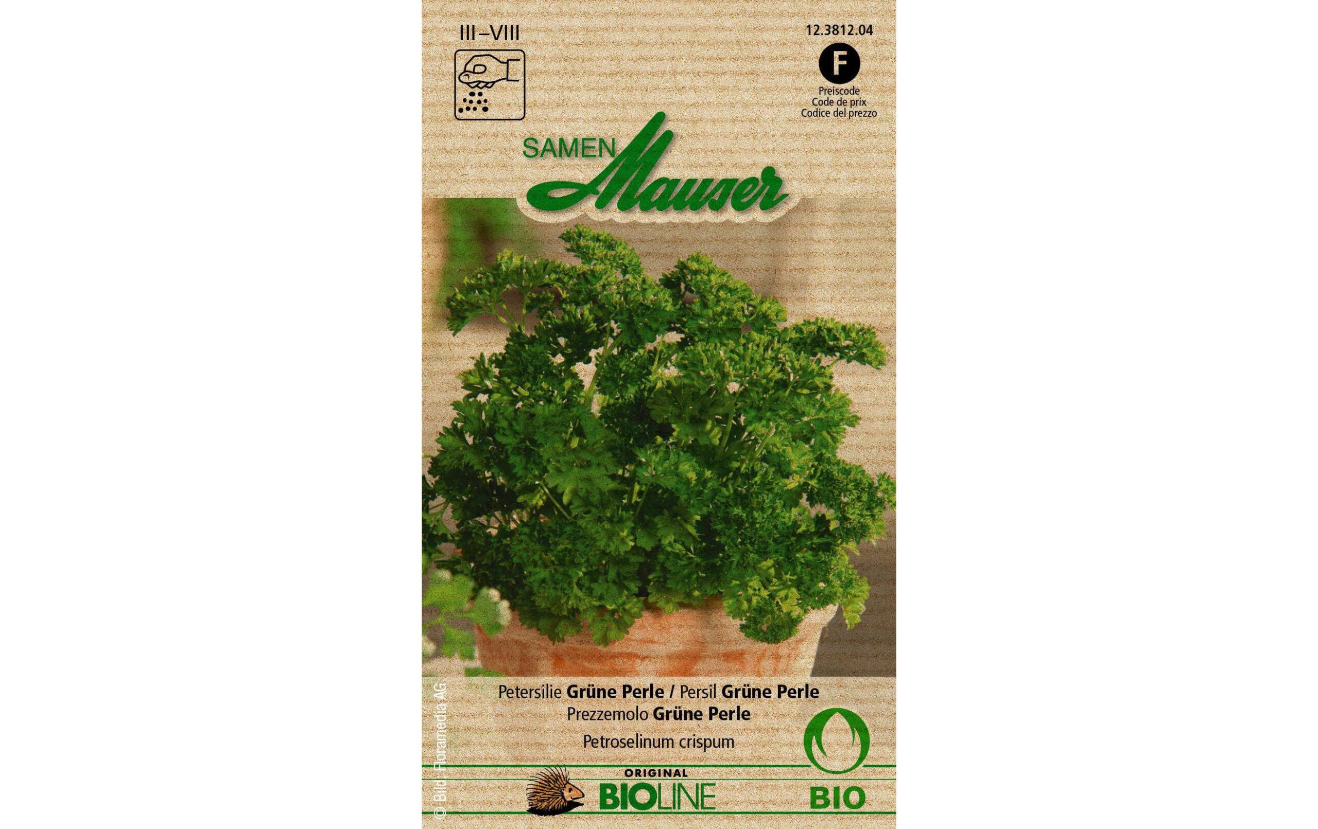 Petersilie Grüne Perle Aus kontr. biol. Anbau Knospe