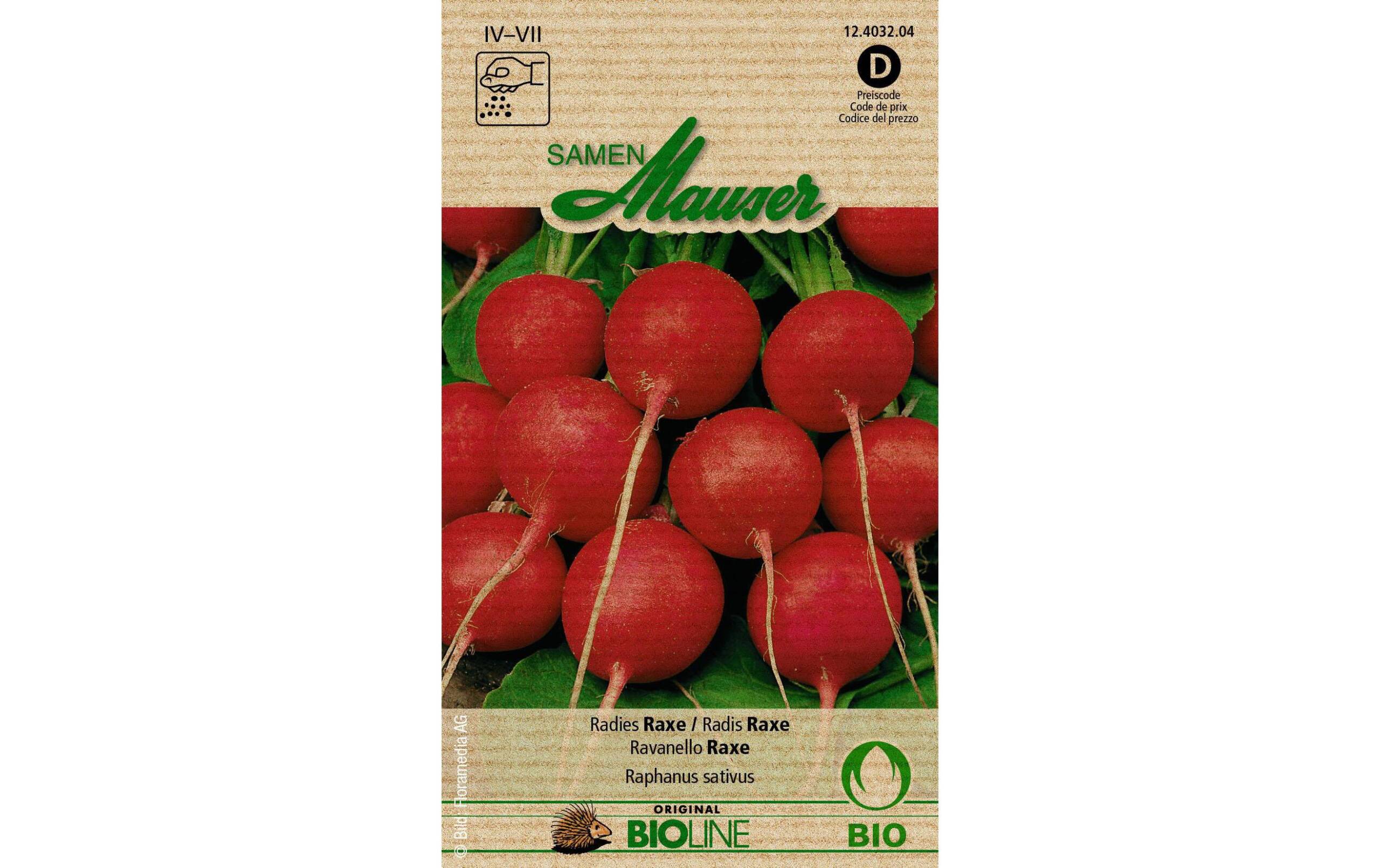 Radies Raxe Aus kontr. biol. Anbau Knospe