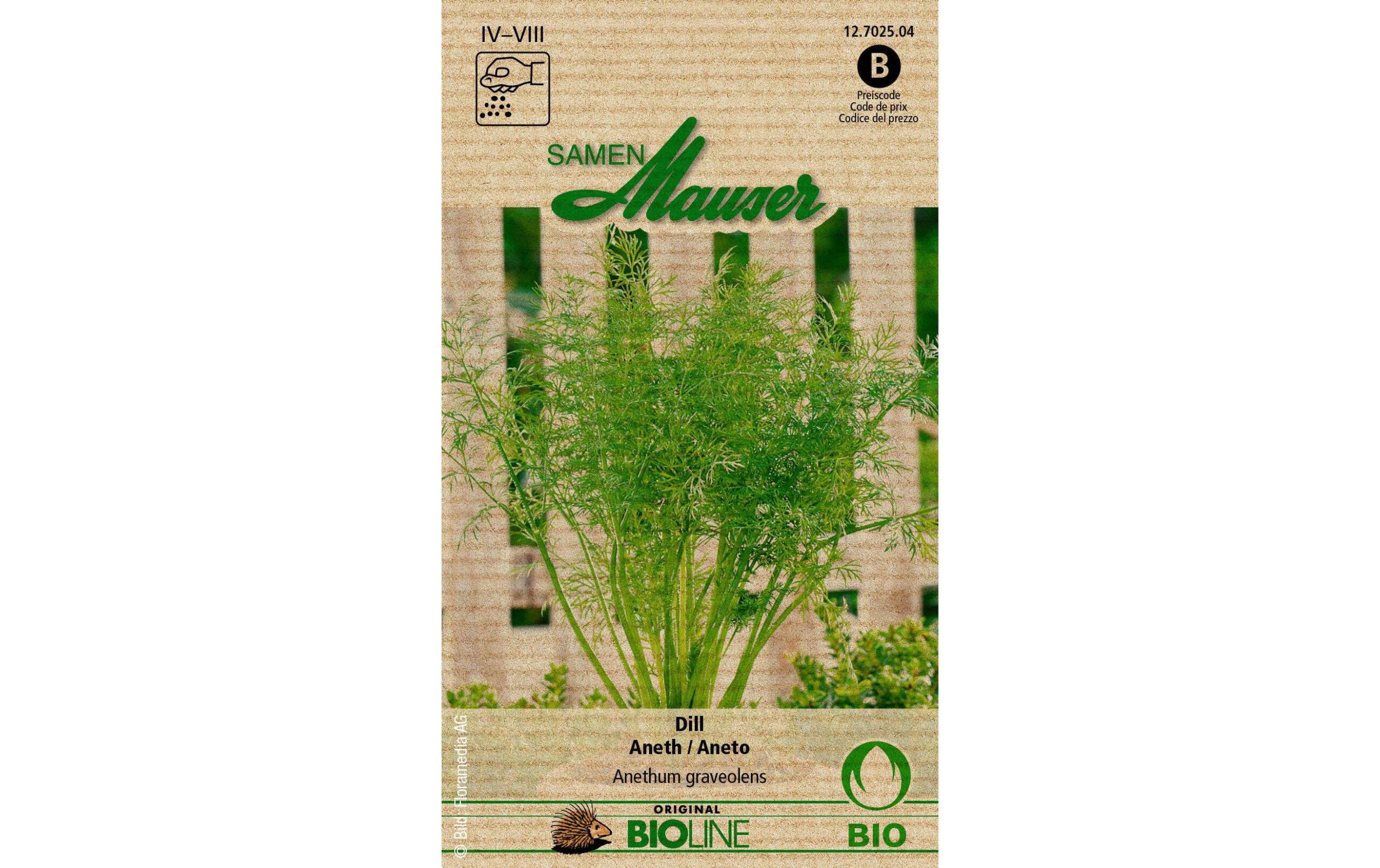 Dill, einjähriger Aus kontr. biol. Anbau Knospe