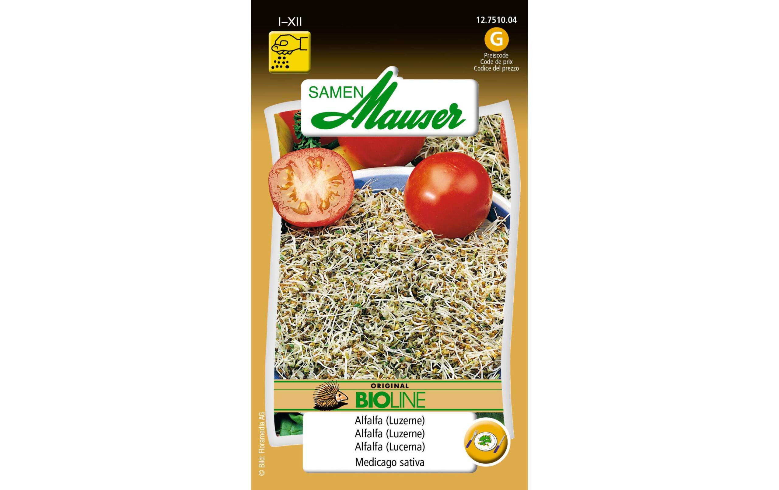 Keimsamen Alfalfa (Luzerne) Aus kontr. biol. Anbau – Bild 2