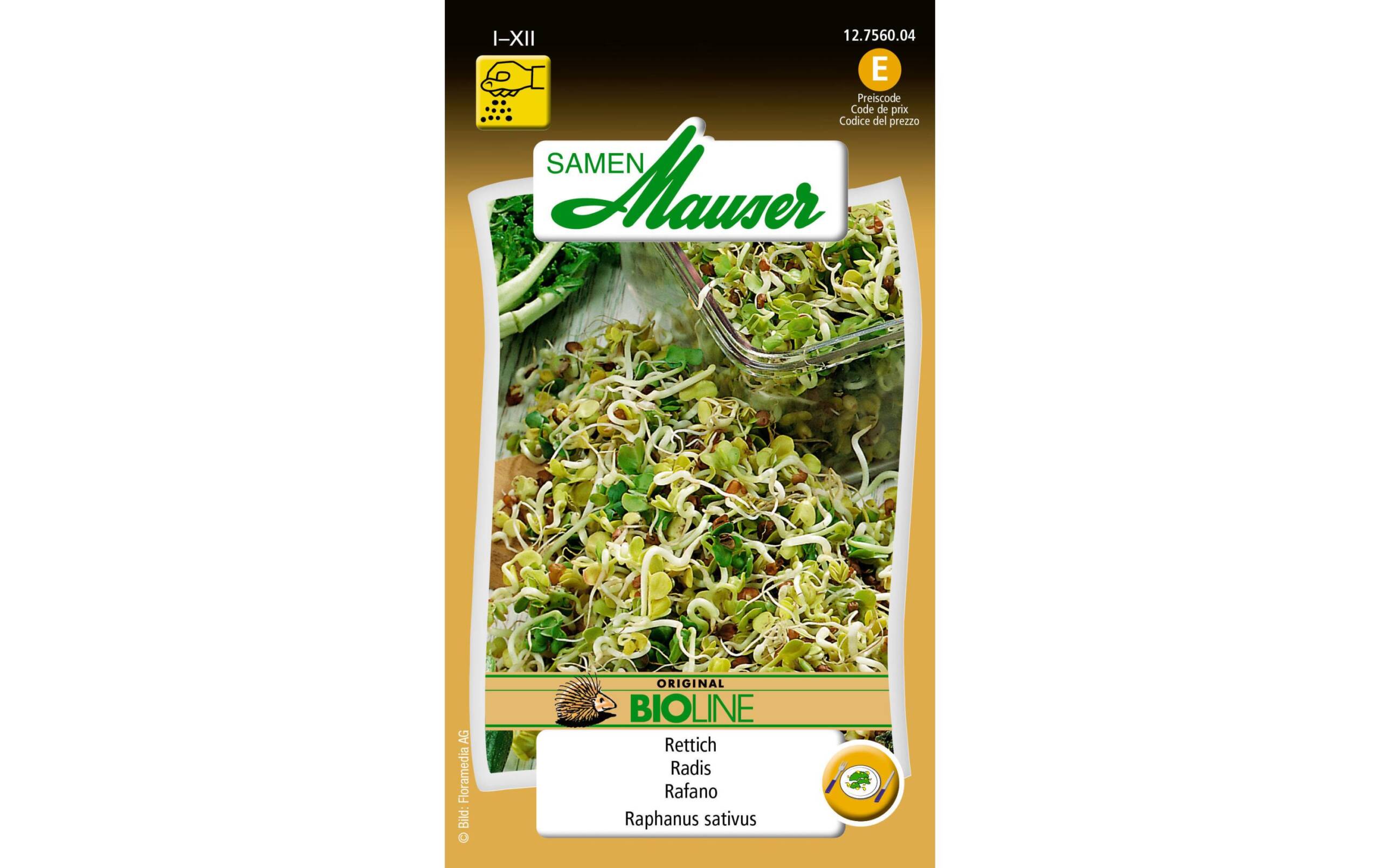 Keimsamen Rettich Aus kontr. biol. Anbau