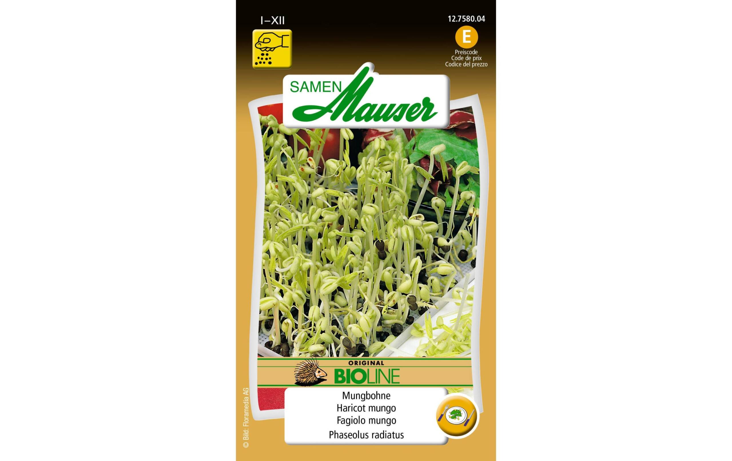 Keimsamen Mungbohnen Aus kontr. biol. Anbau