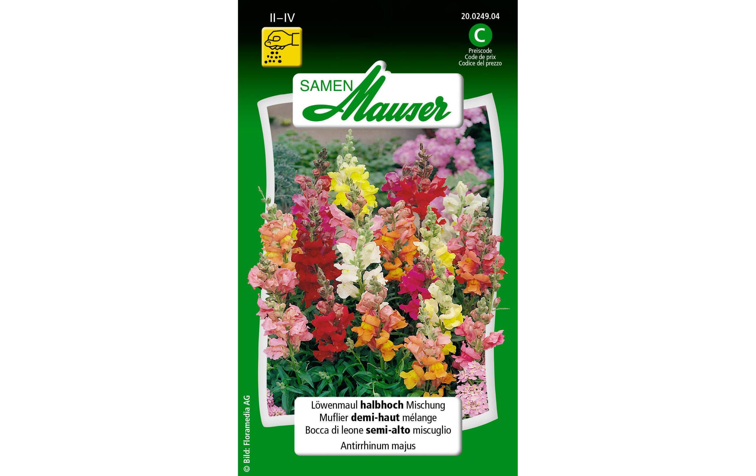 Löwenmaul halbhohe Mischung Antirrhinum majus