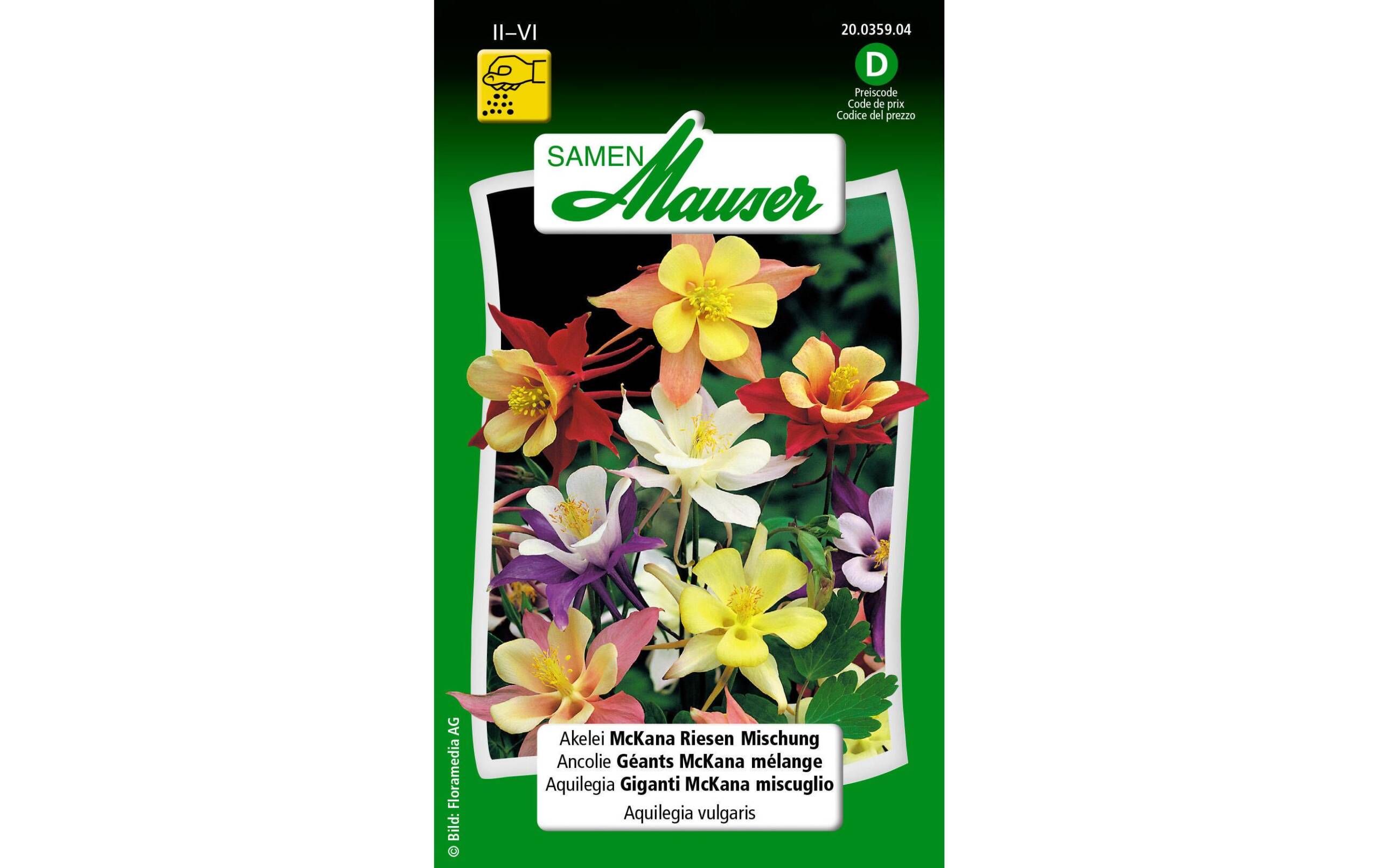 Akelei McKana Riesen Mischung Aquilgegia vulgaris