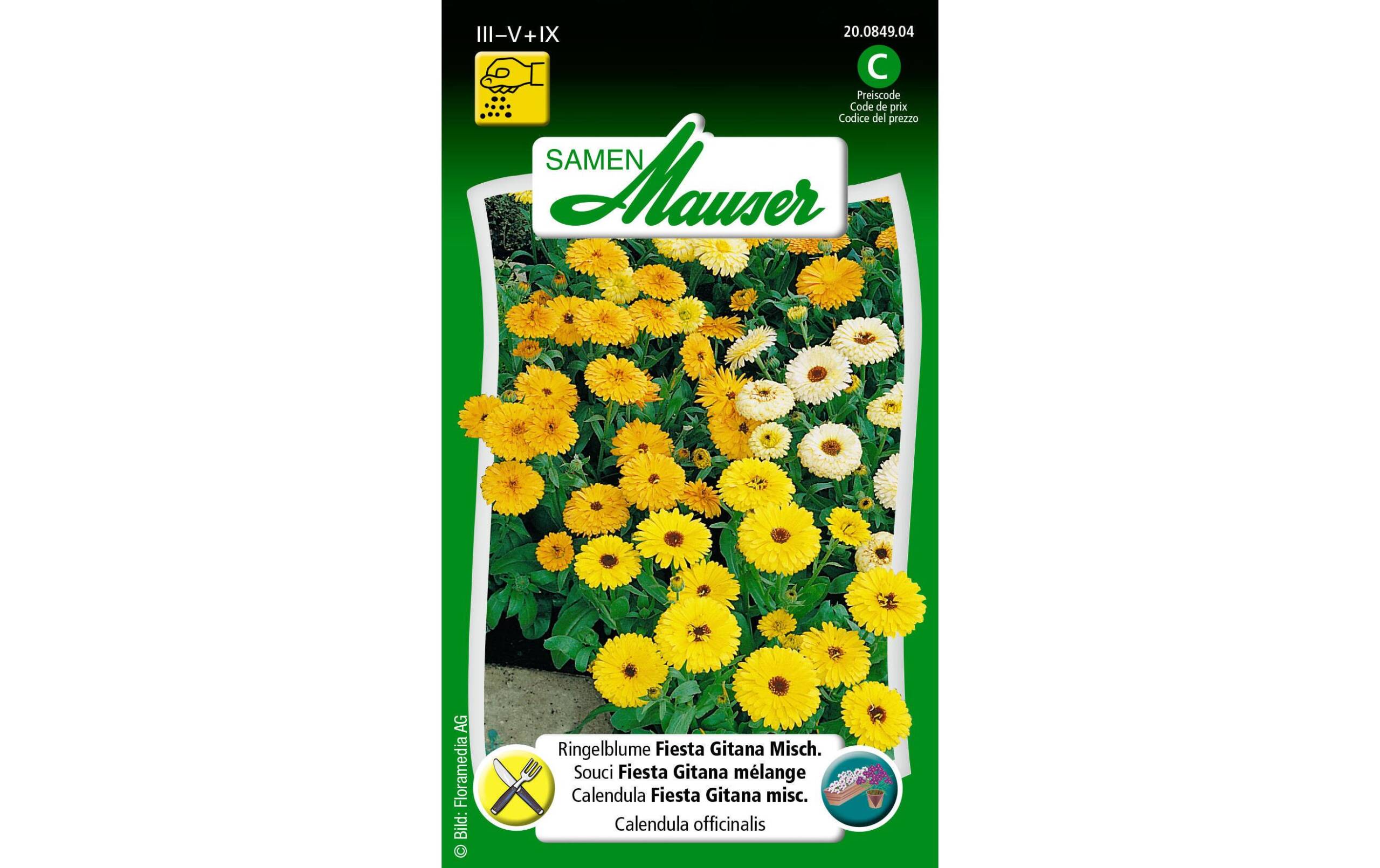 Ringelblume Gitana Fiesta Misch. Calendula officinalis