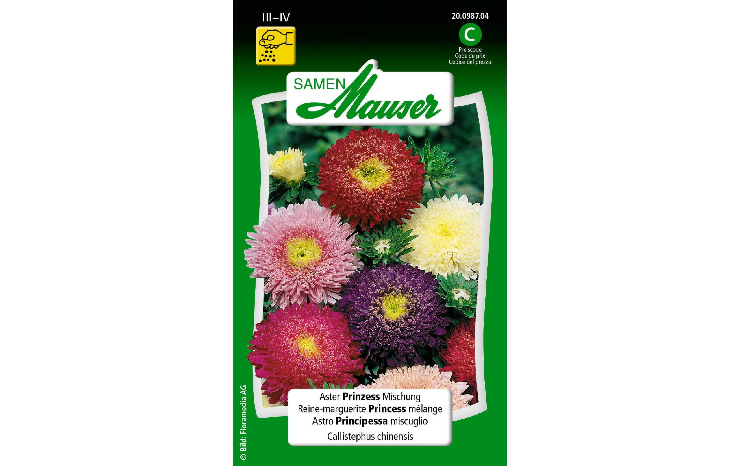 Aster Prinzess Mischung Callistephus chinensis