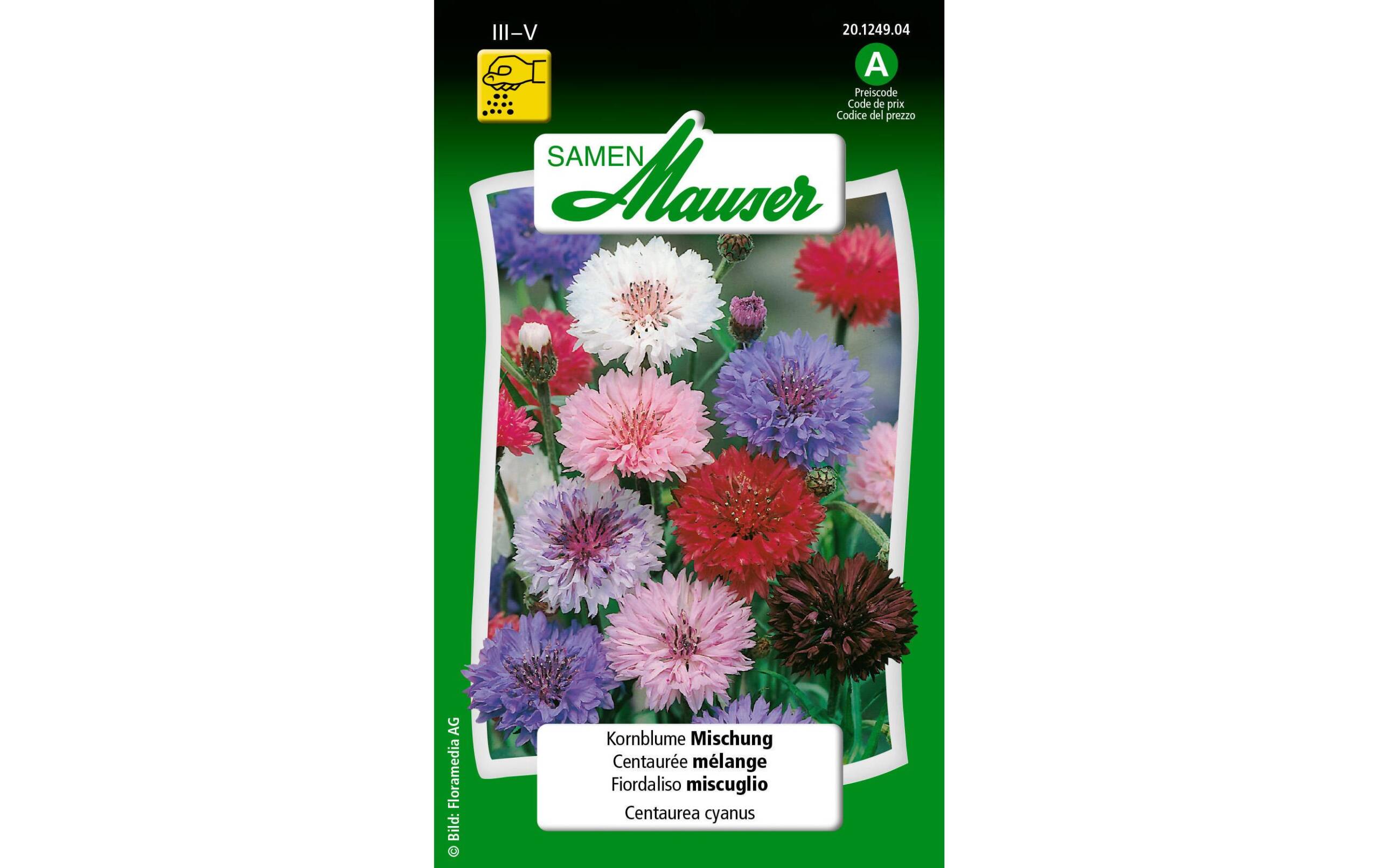 Kornblume Mischung Centaurea cyanus