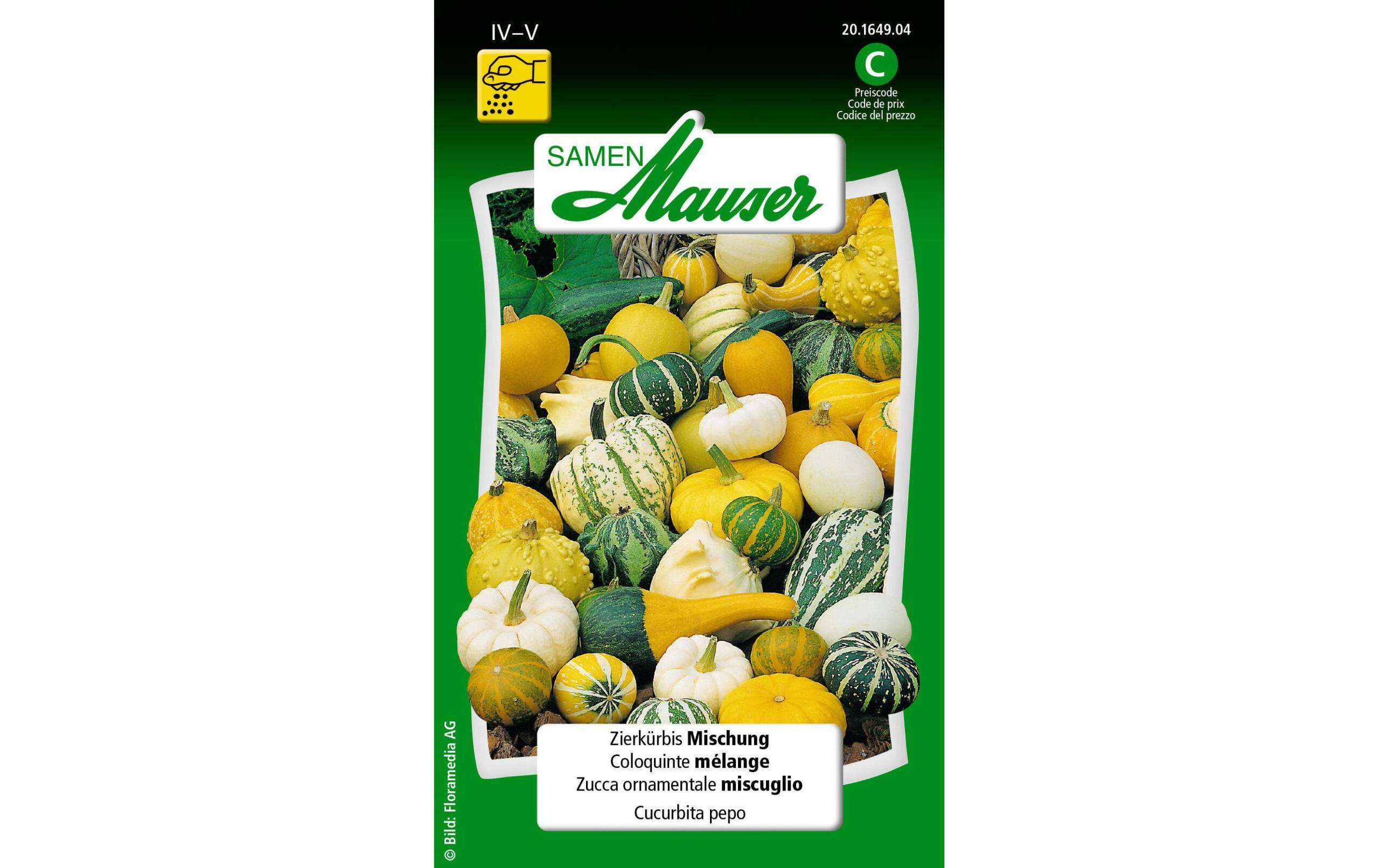 Zierkürbis Mischung Cucurbita pepo