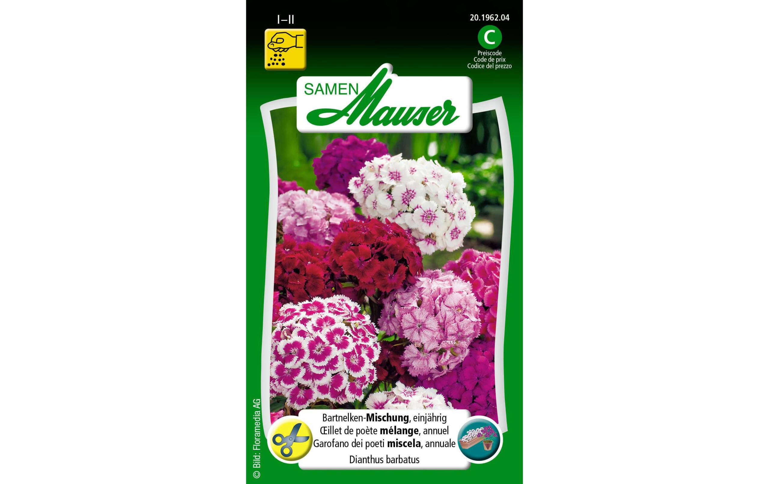 Bartnelke einjährige Mischung Dianthus barbatus