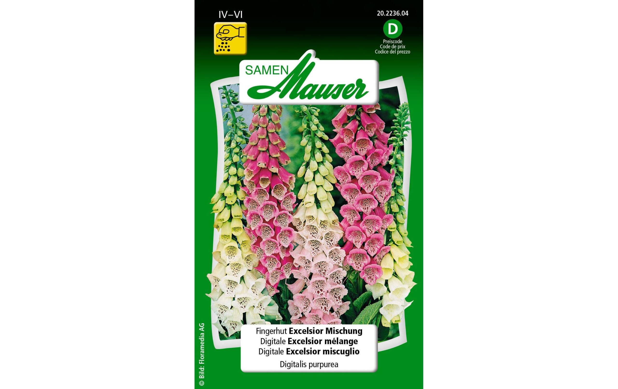 Fingerhut Excelsior Mischung Digitalis purpurea