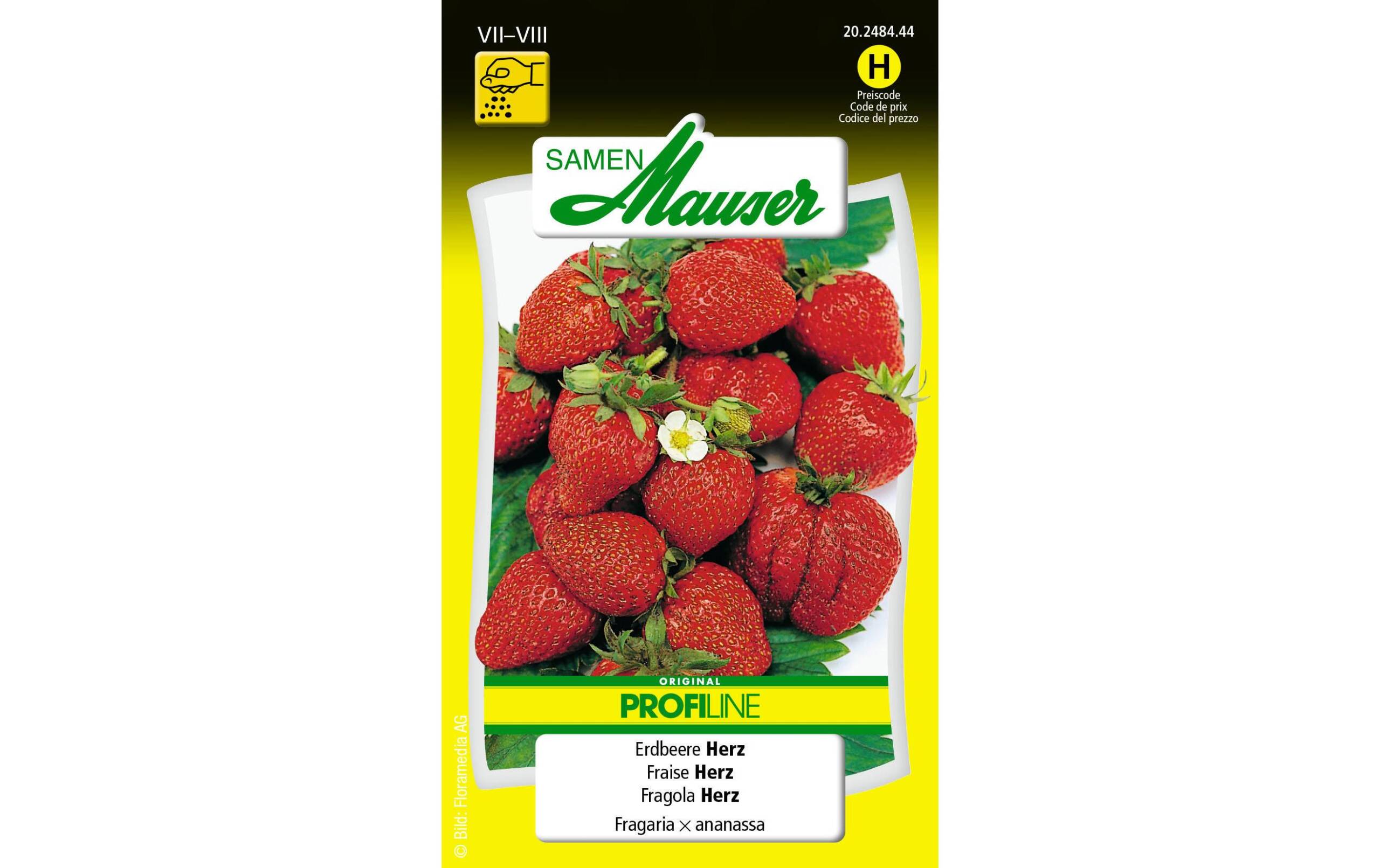 Erdbeere Herz Fragaria x ananassa