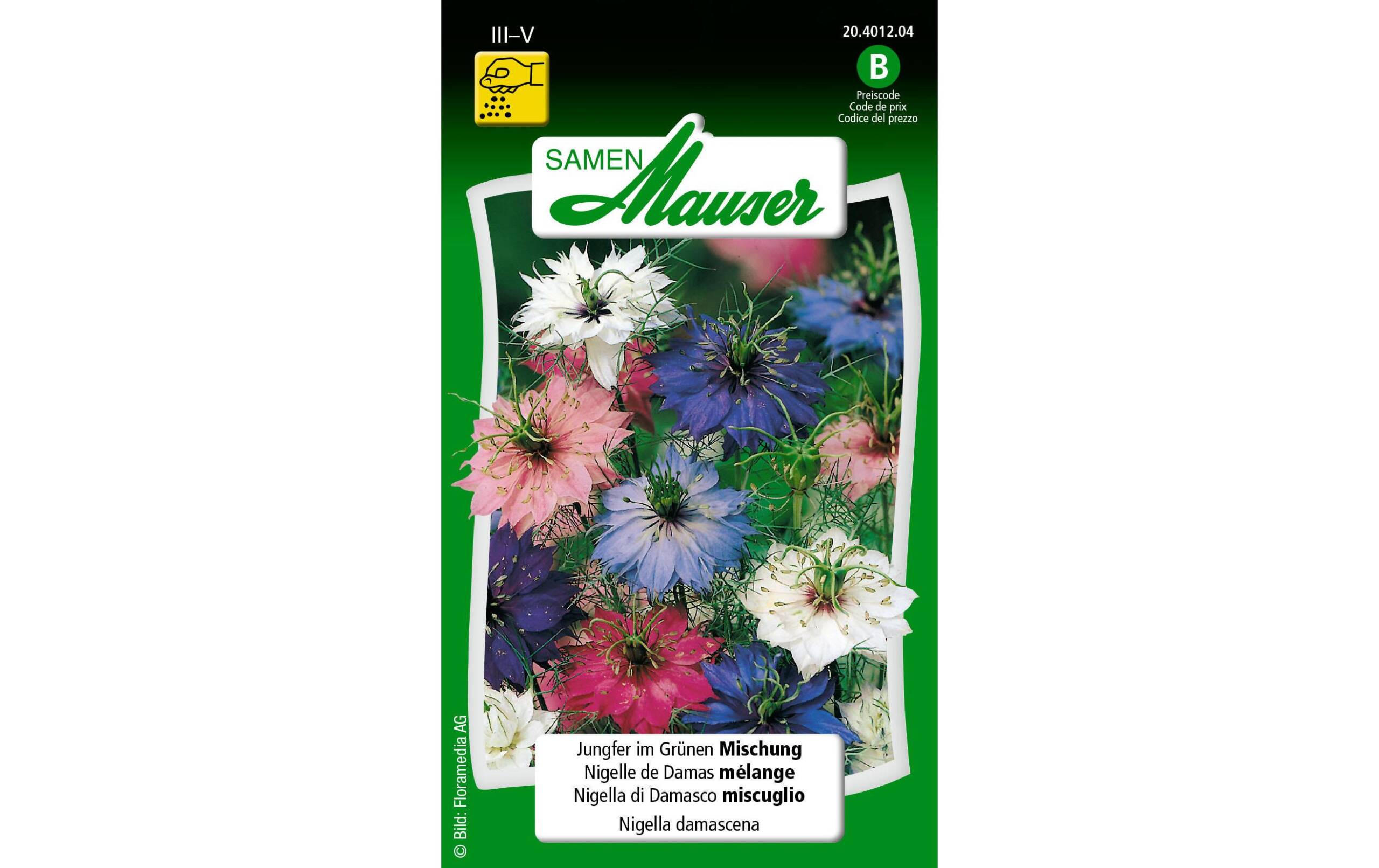 Jungfer im Grünen Mischung Nigella damascena