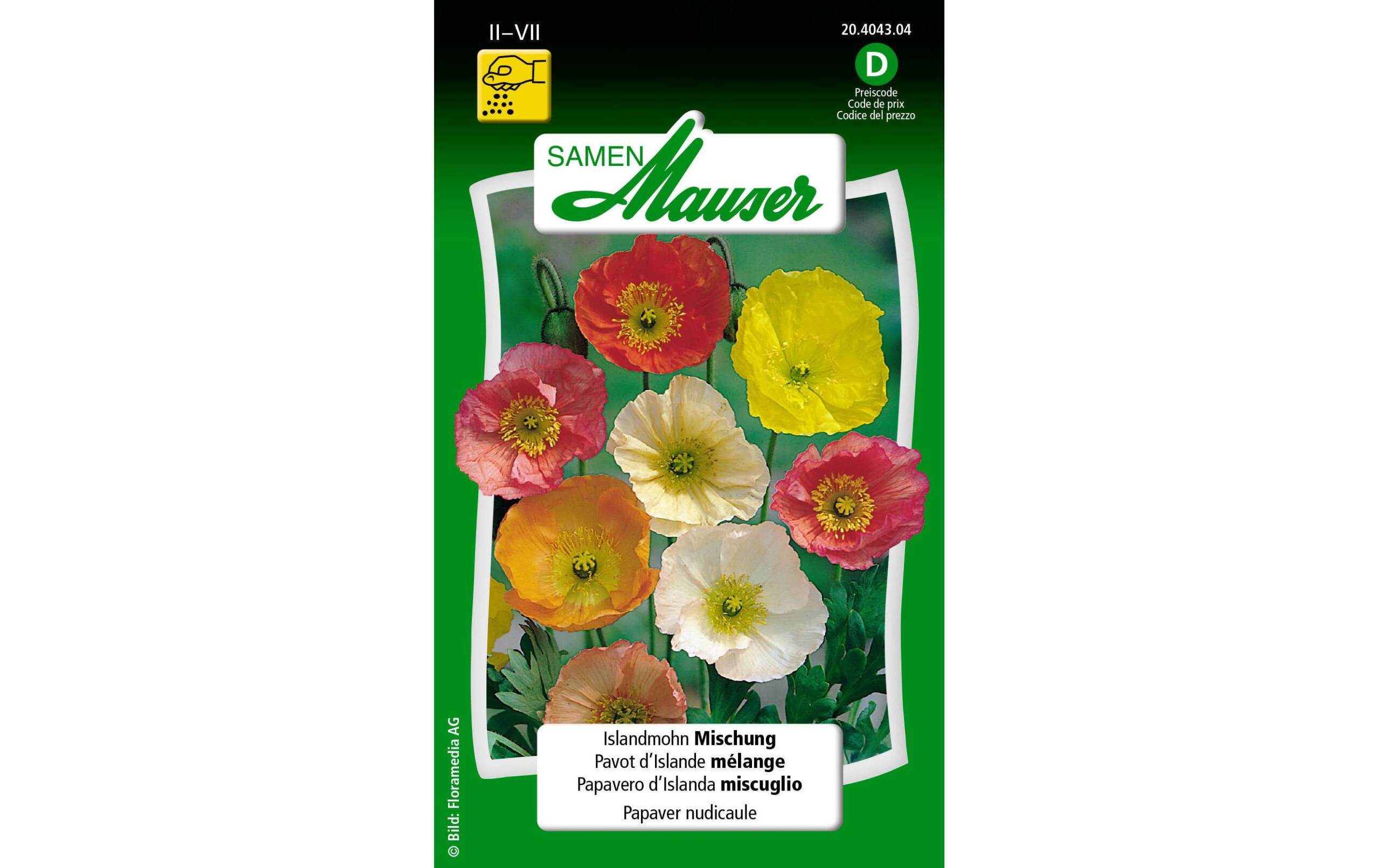 Islandmohn Mischung Papaver nudicaule