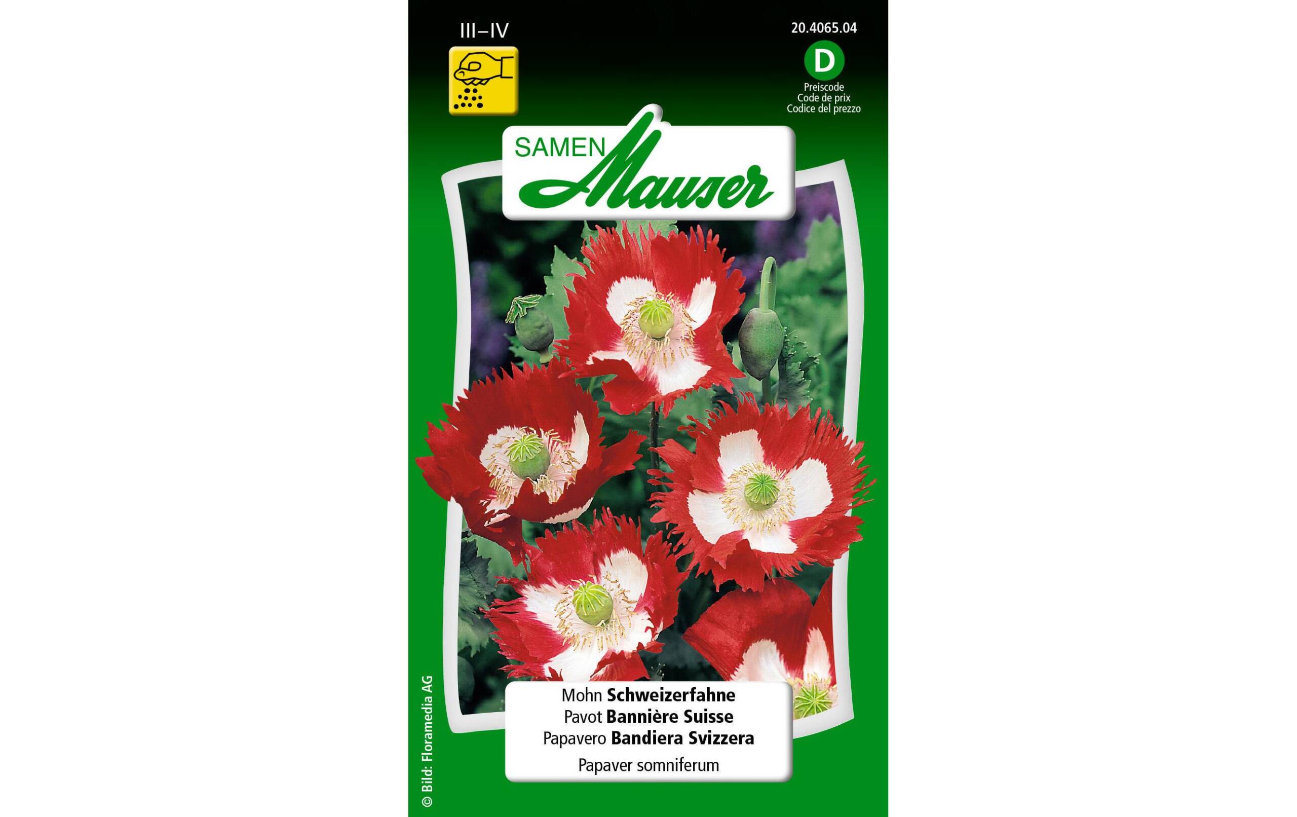 Mohn Schweizerfahne Papaver somniferum