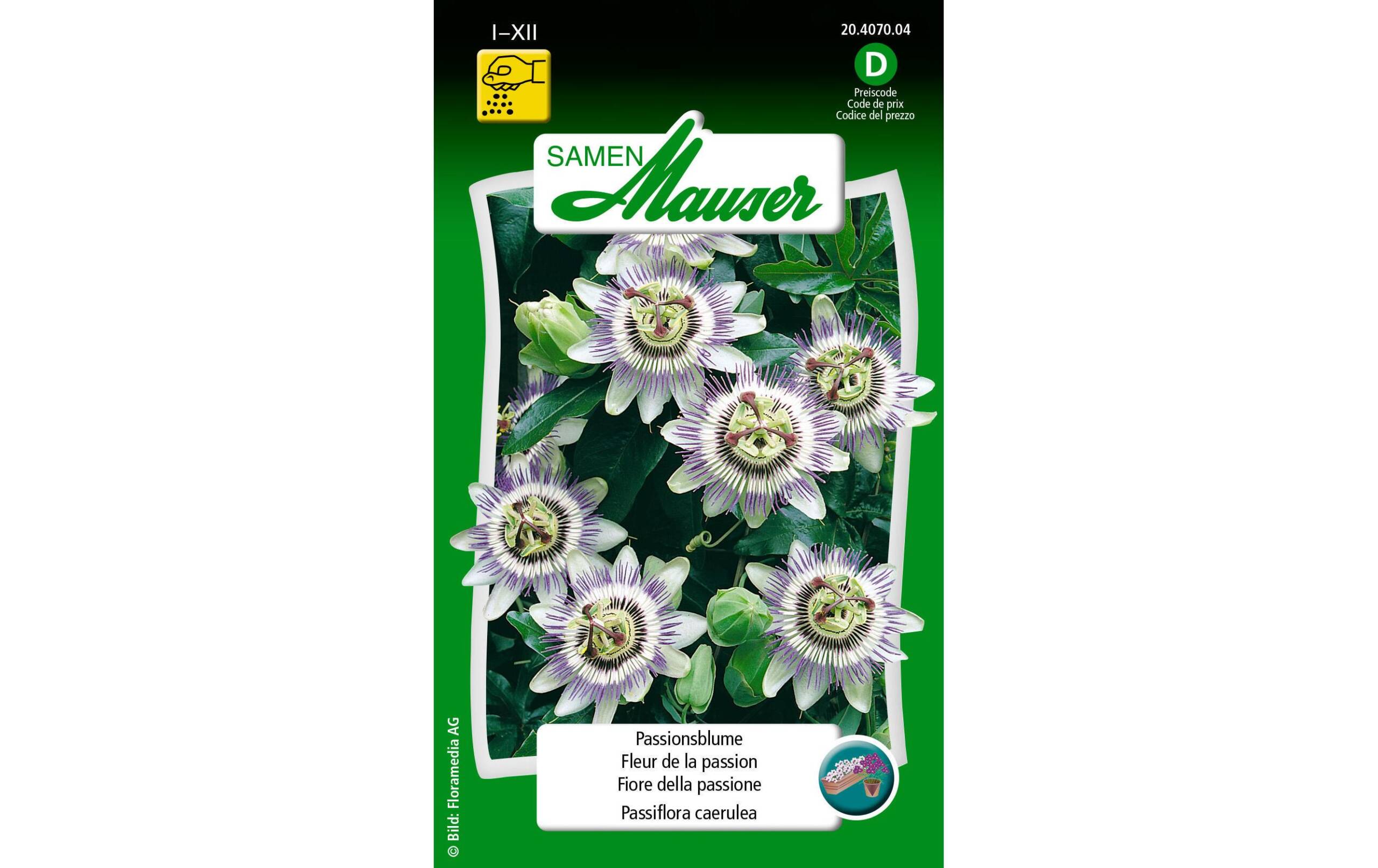 Passionsblume Passiflora caerulea