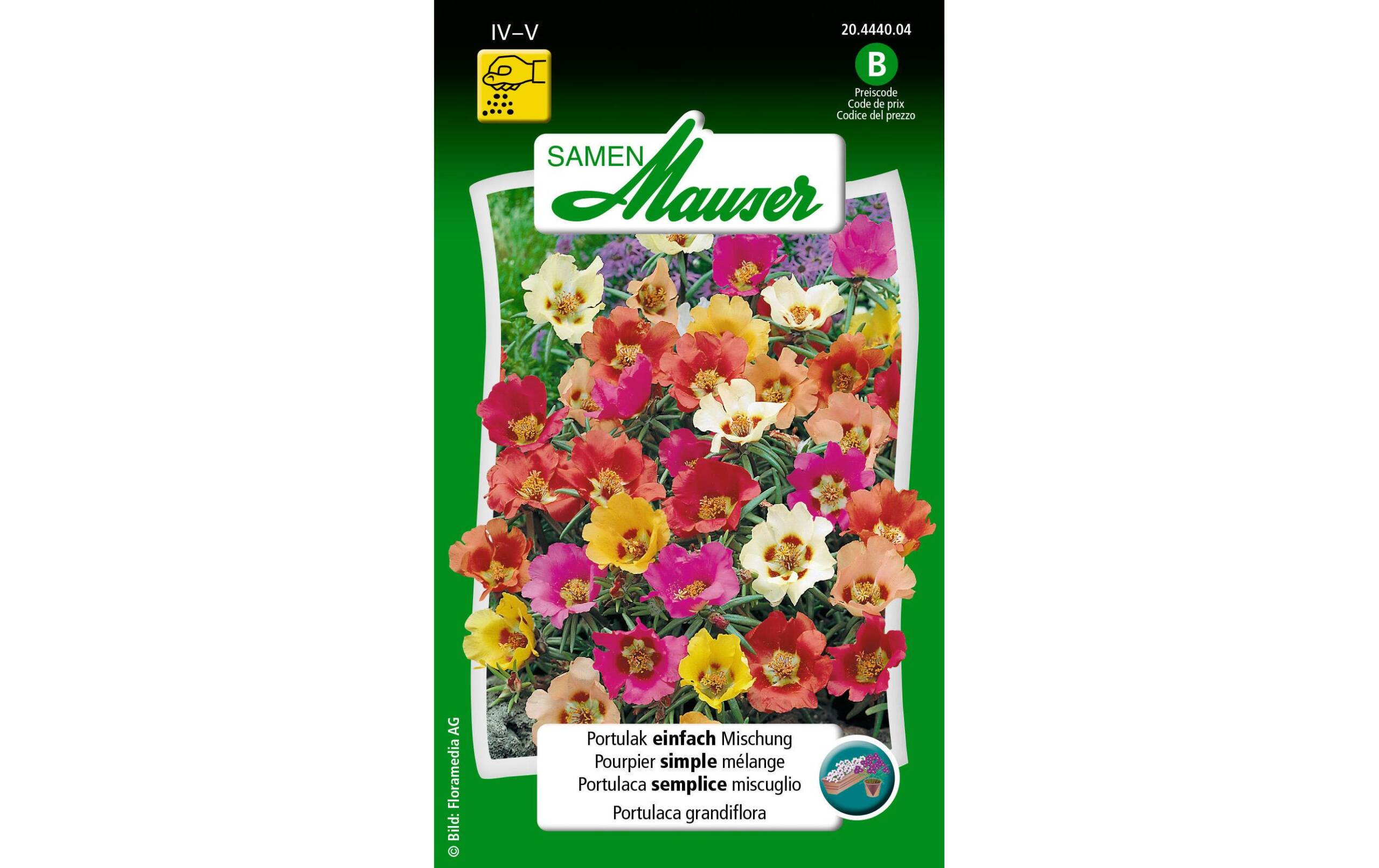 Portulak einfach Mischung Portulaca grandiflora