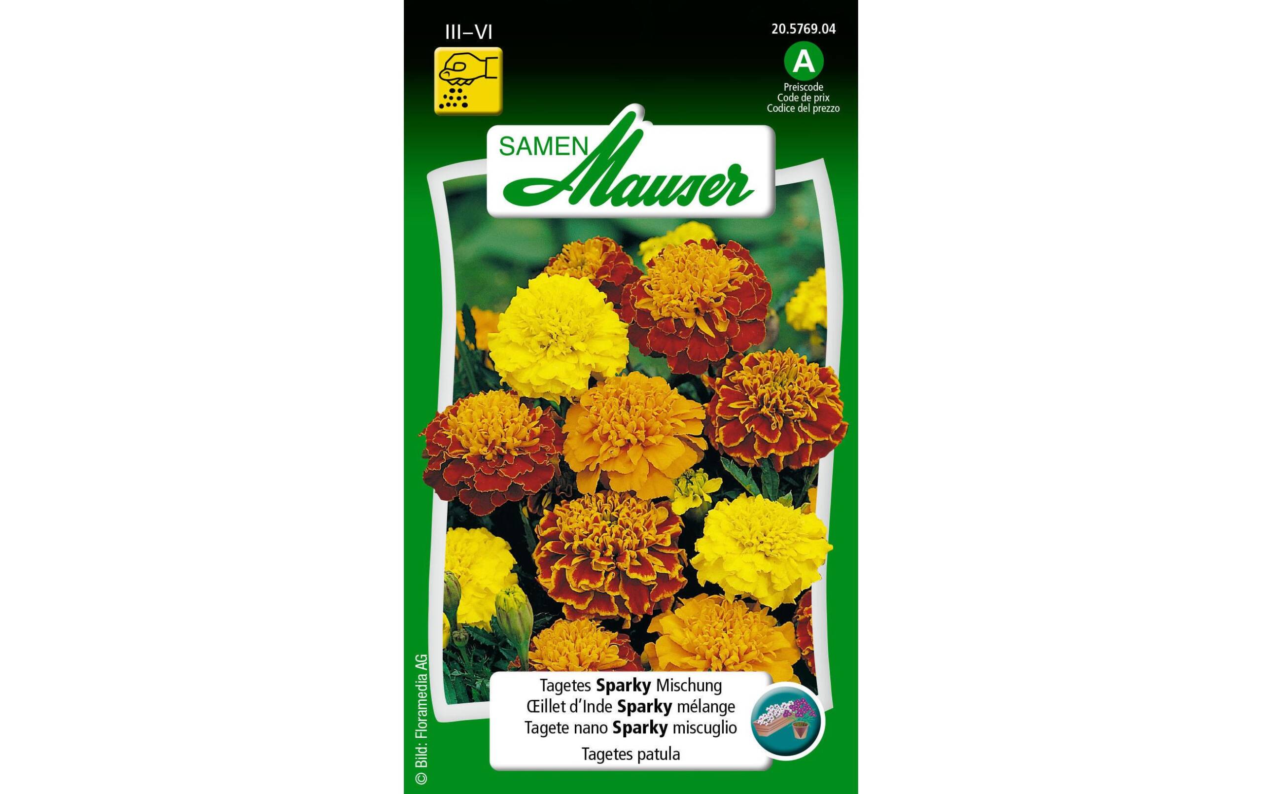 Tagetes Sparky Mischung Tagetes patula