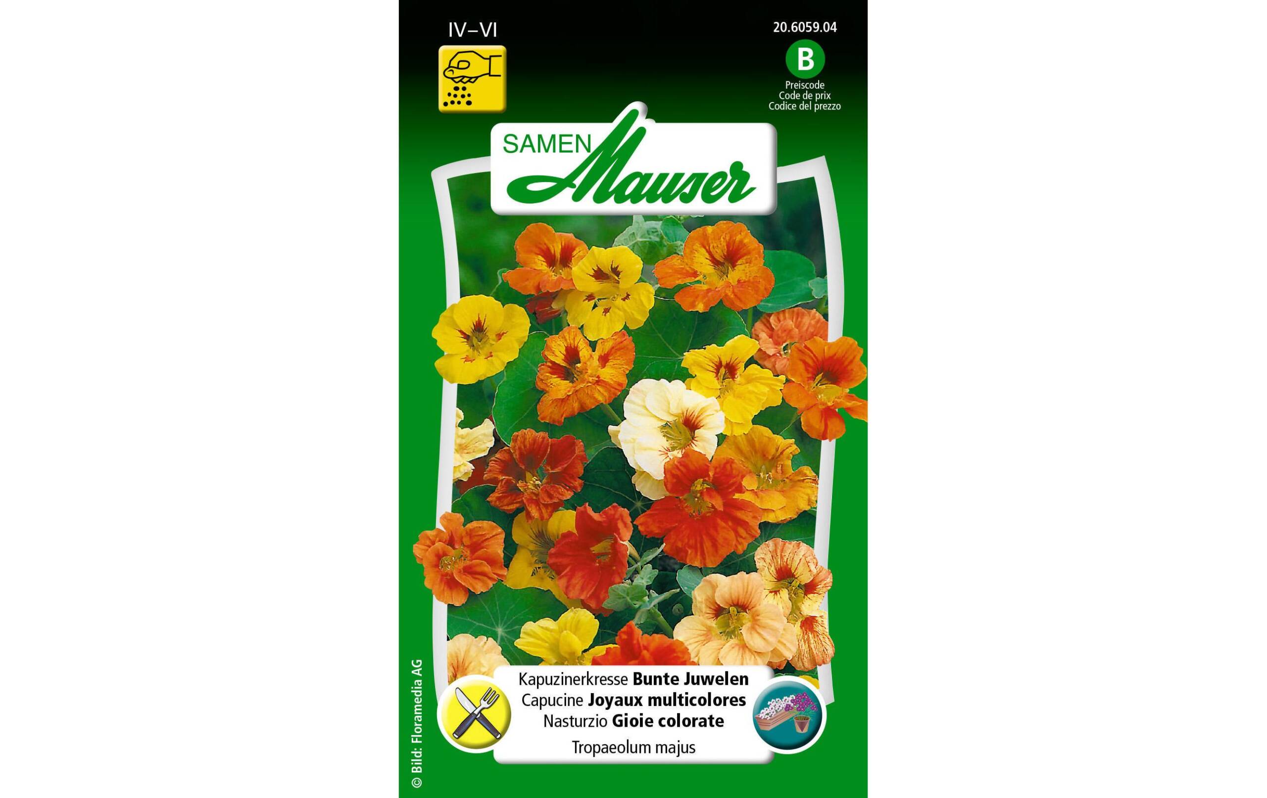 Kapuzinerkresse Bunte Juwelen Tropaeolum majus