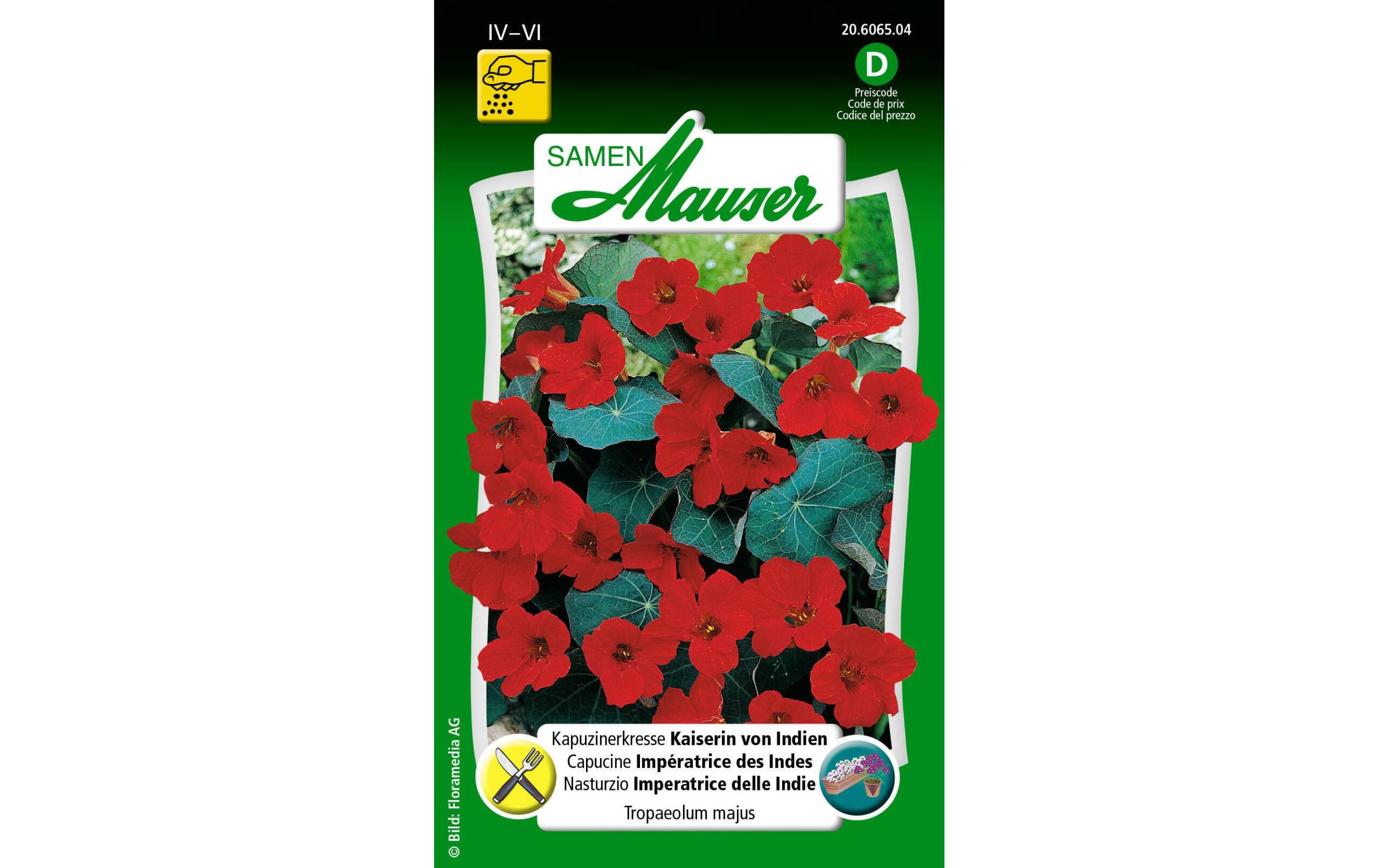 Kapuzinerkresse Kaiserin von Indien Tropaeolum majus