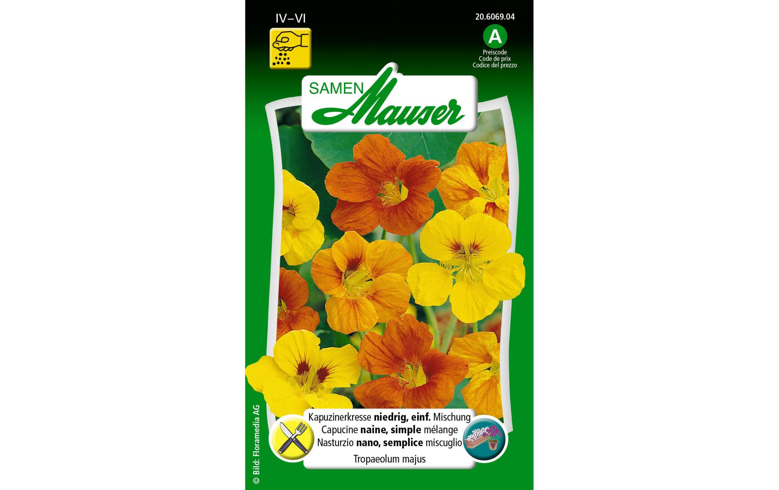 Kapuzinerkresse, niedrig, einf. Mischung Tropaeolum majus