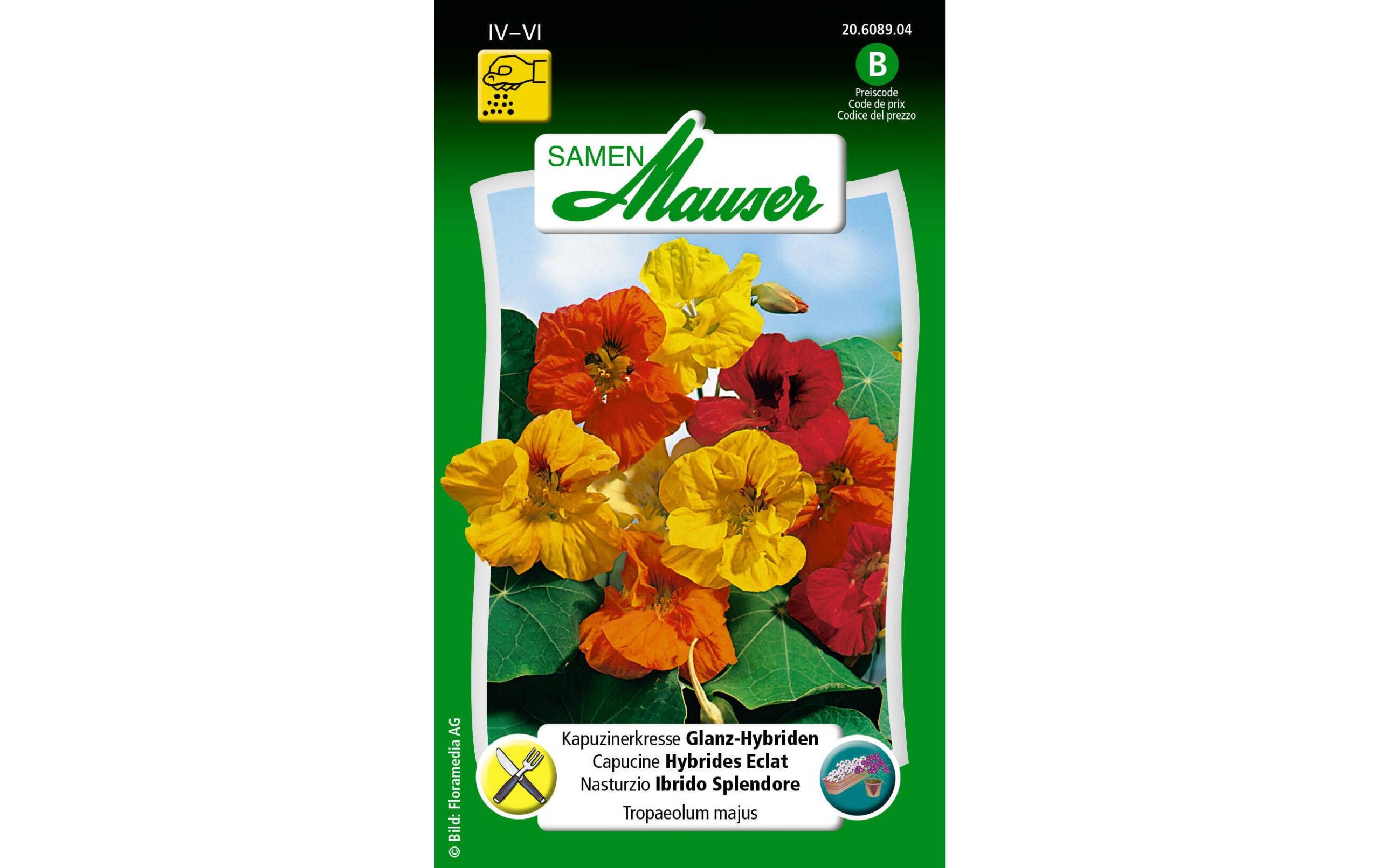 Kapuzinerkresse GlanzHybriden Tropaeolum majus