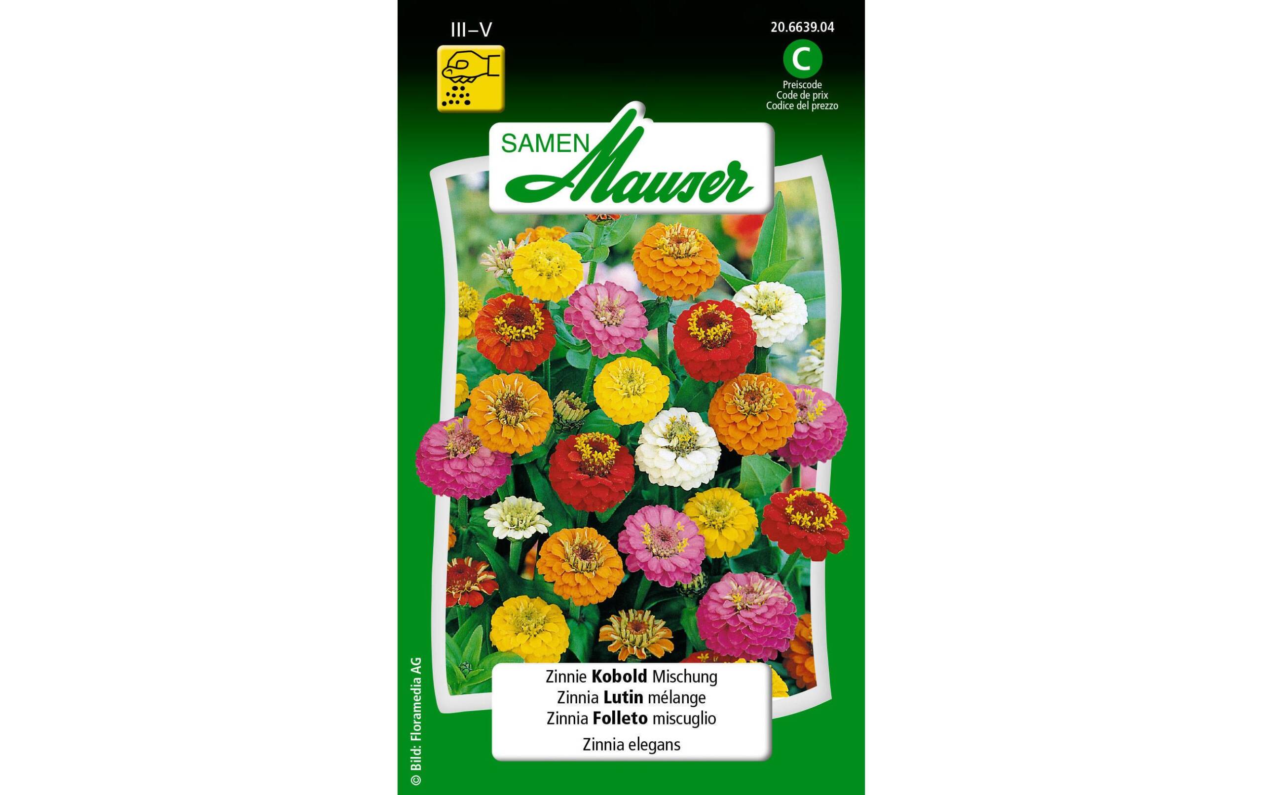 Zinnie Kobold Mischung Zinnia elegans