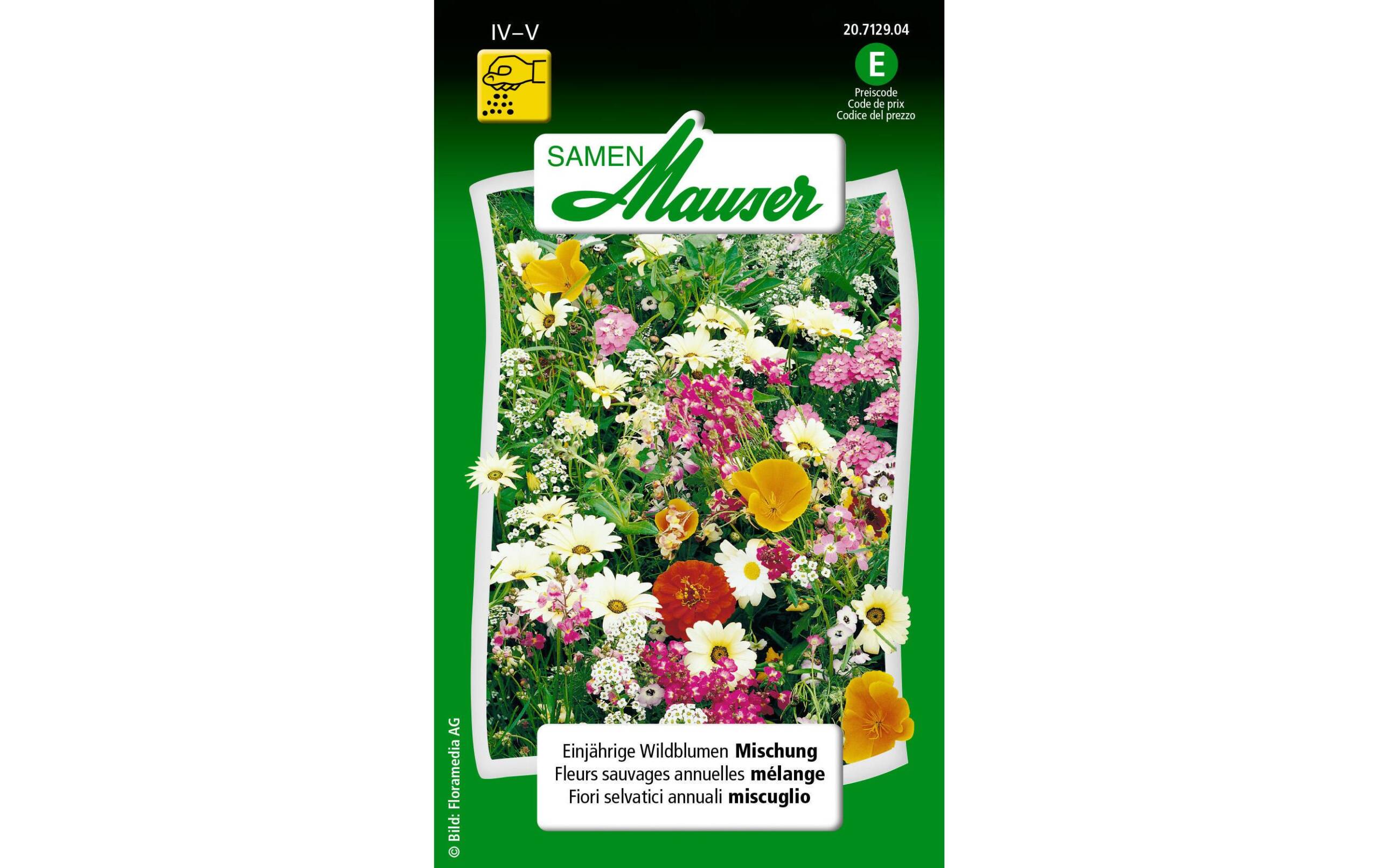 Einjährige Wildblumen Mischung