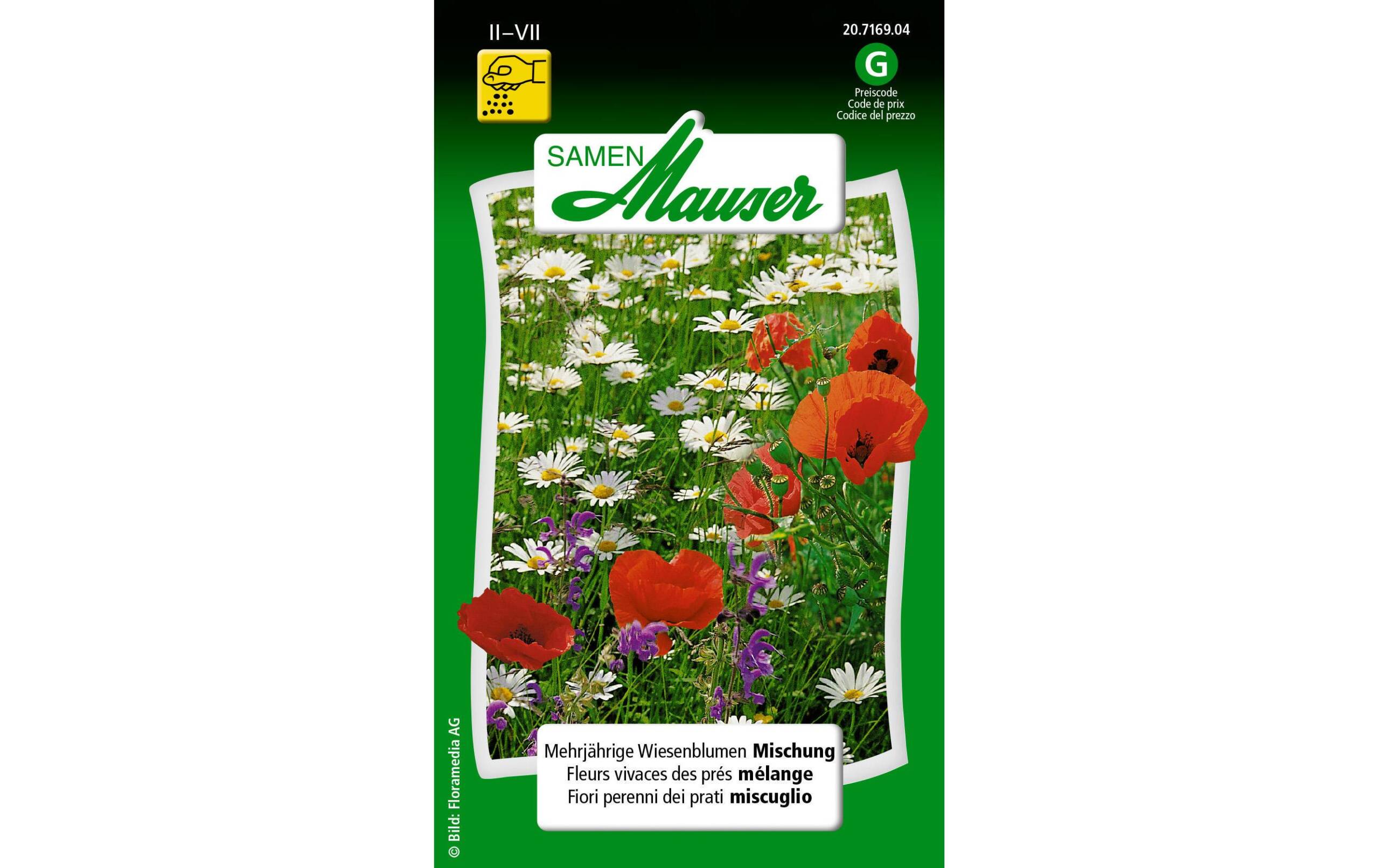 Mehrjährige Wiesenblumen Mischung