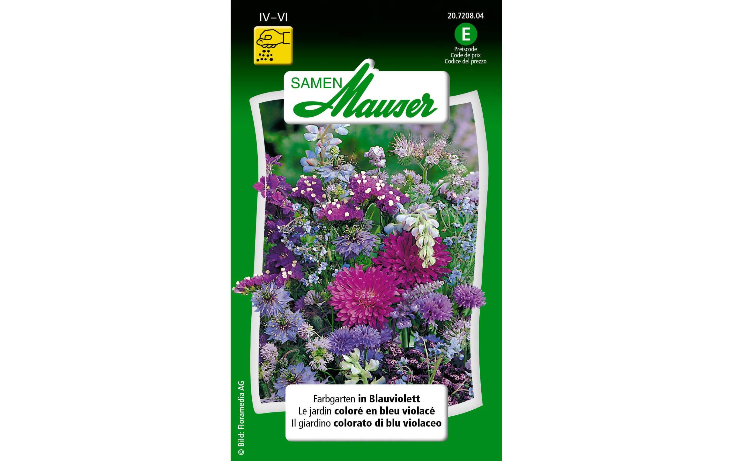 Farbgarten in Blauviolett