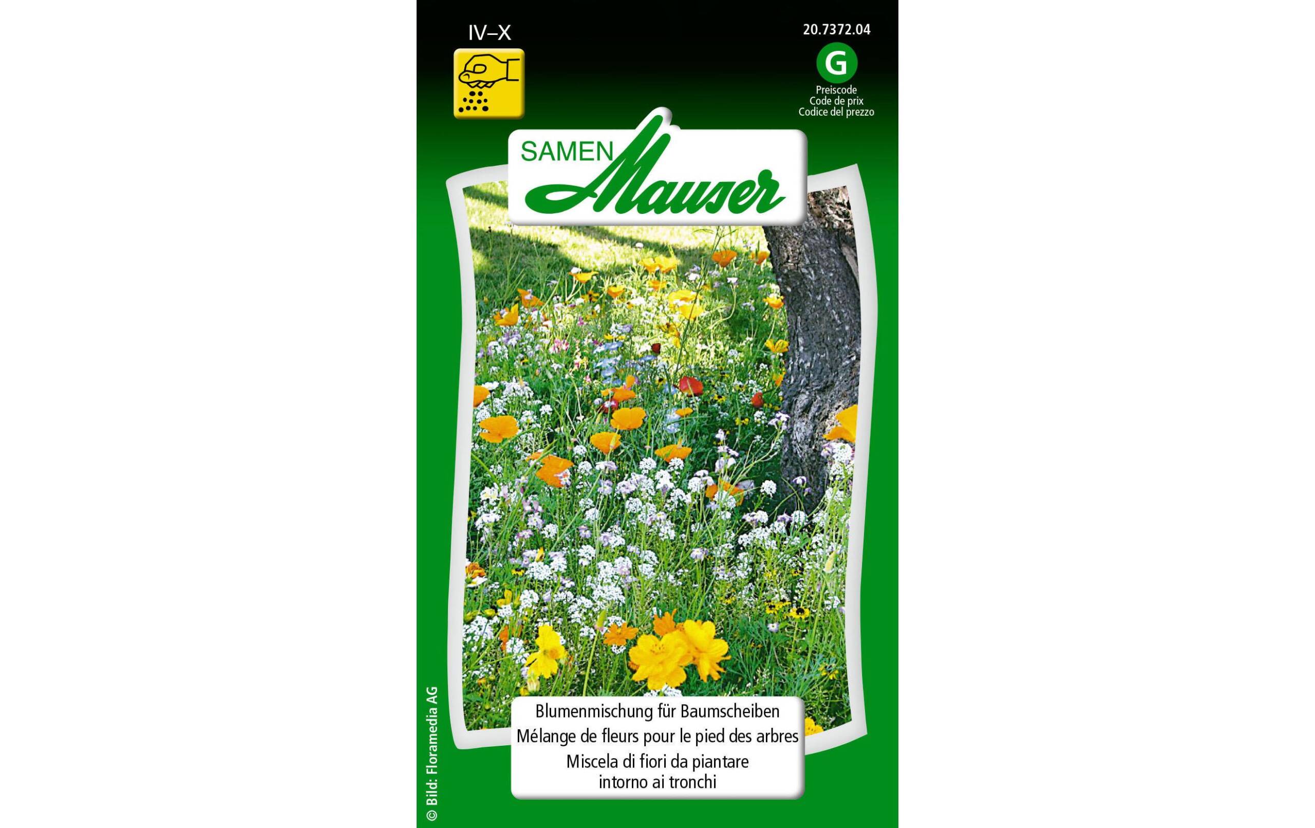 Blütensymphonie für Baumscheiben