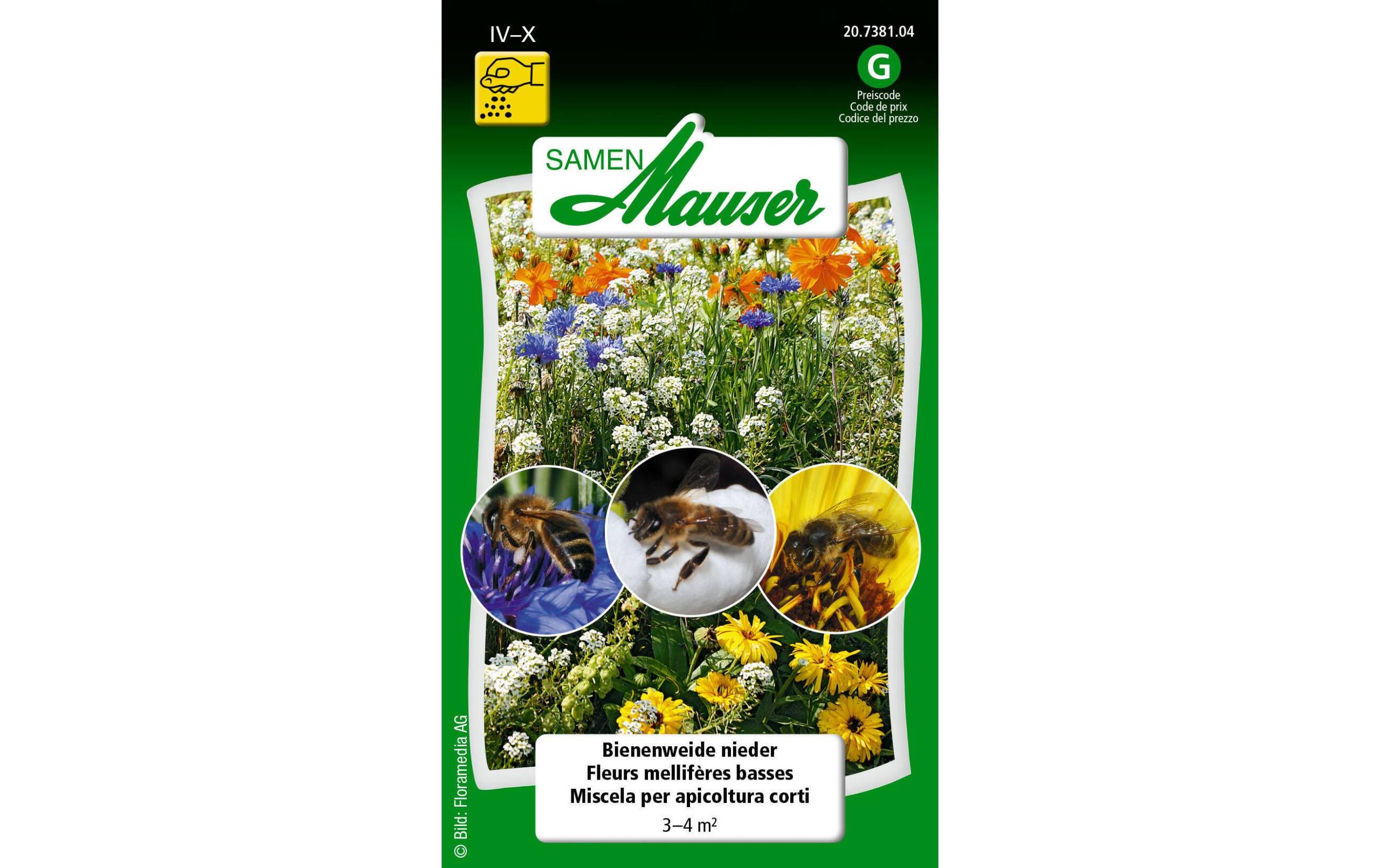 Niedere Bienenweide / 3  4 m