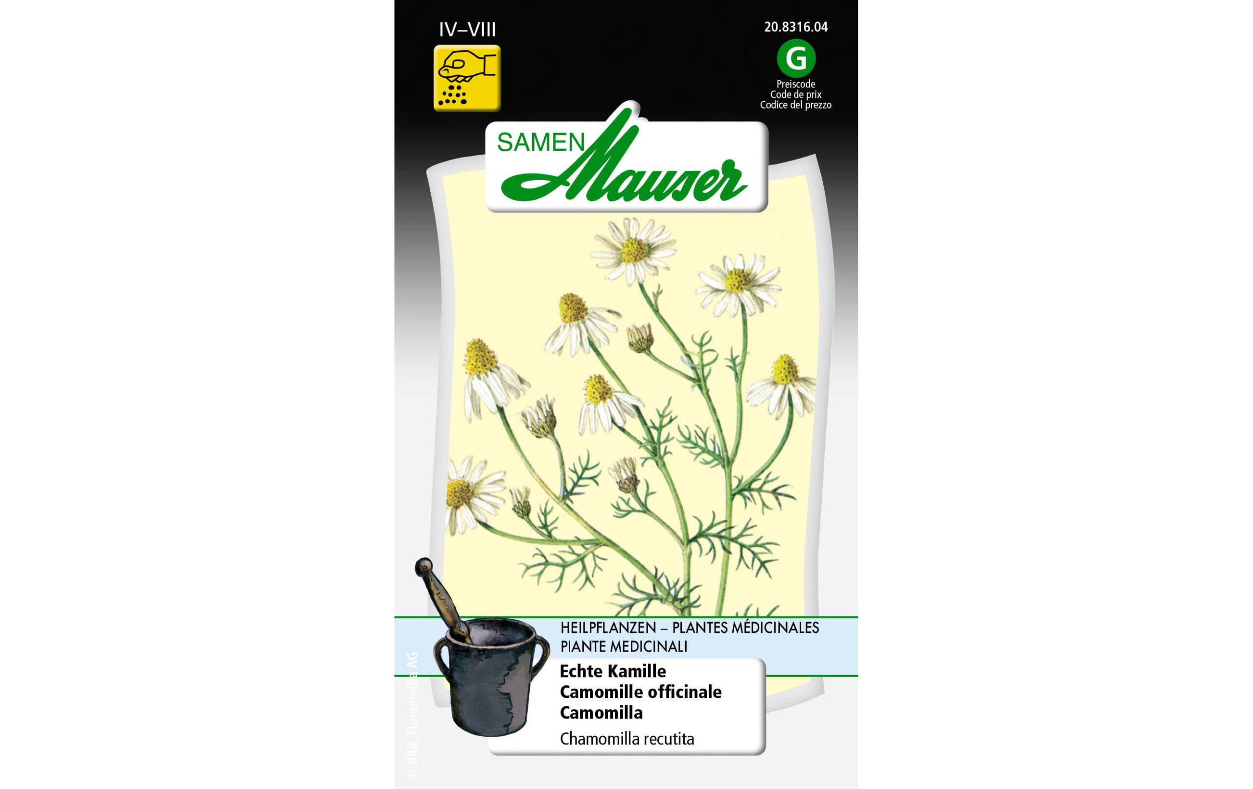 Echte Kamille Chamomilla recutita