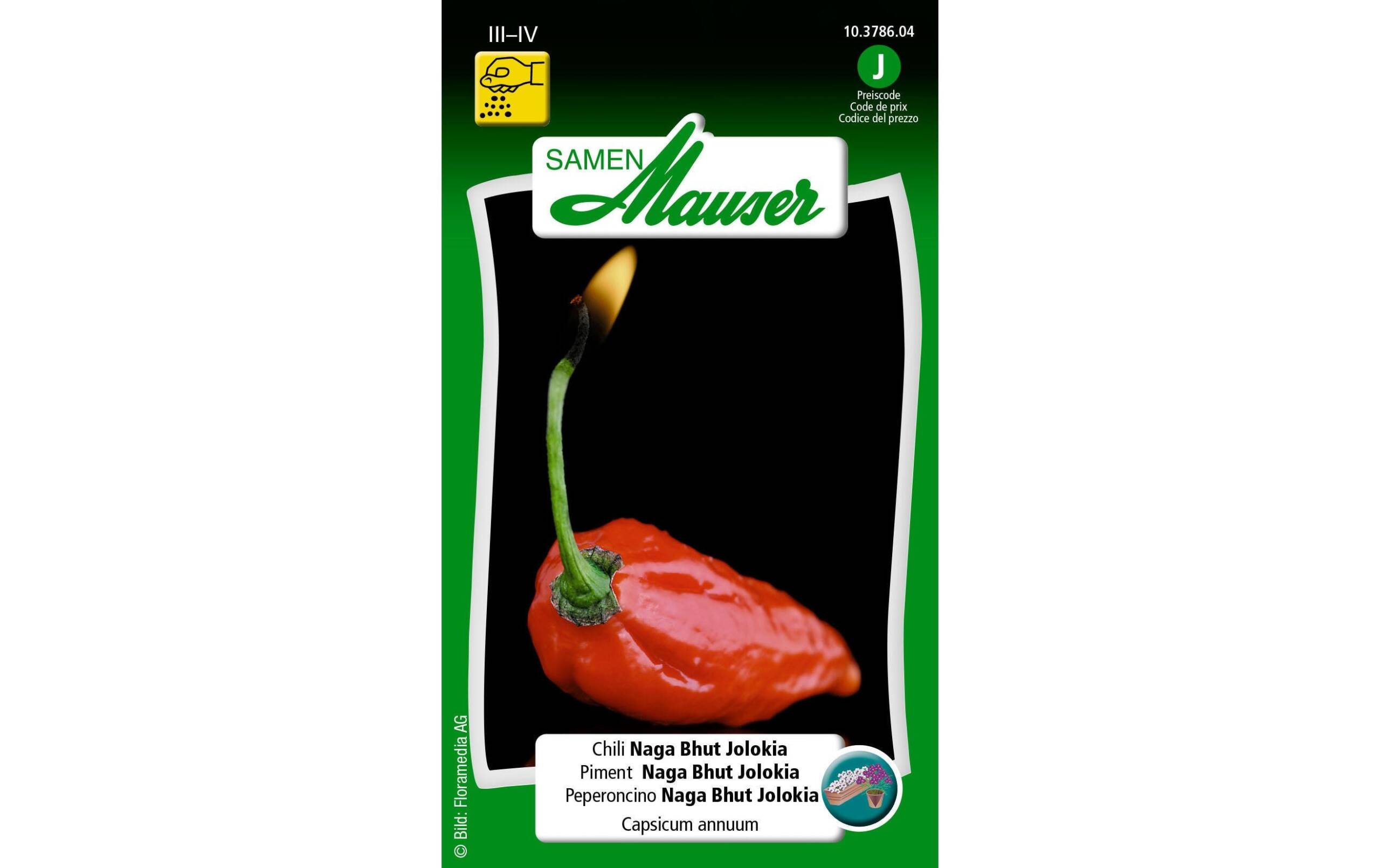 Chili Naga Bhut Jolokia Capsicum chinense – Bild 2
