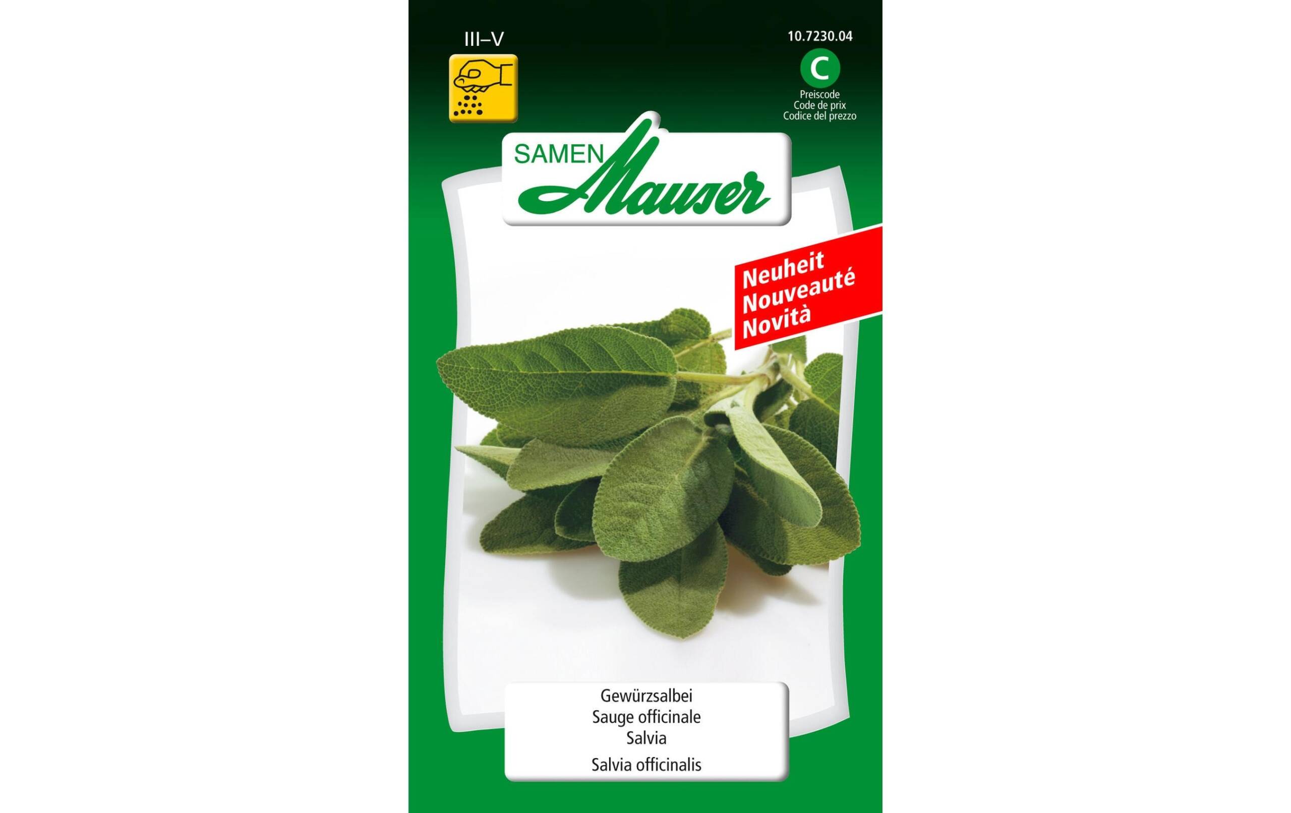 Gewürzsalbei Salvia officinalis