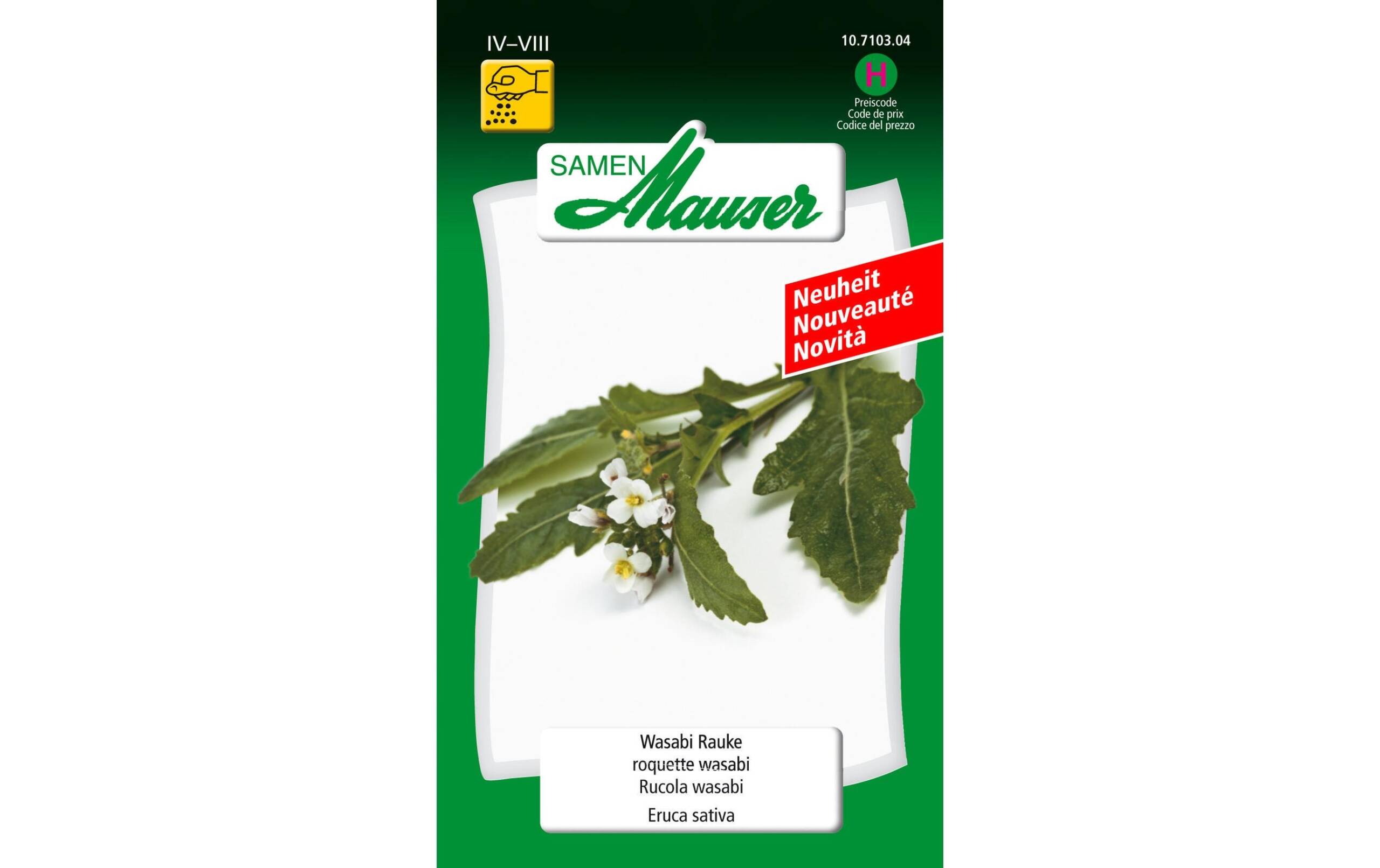 Wasabi Rauke Eruca vesicaria sativa