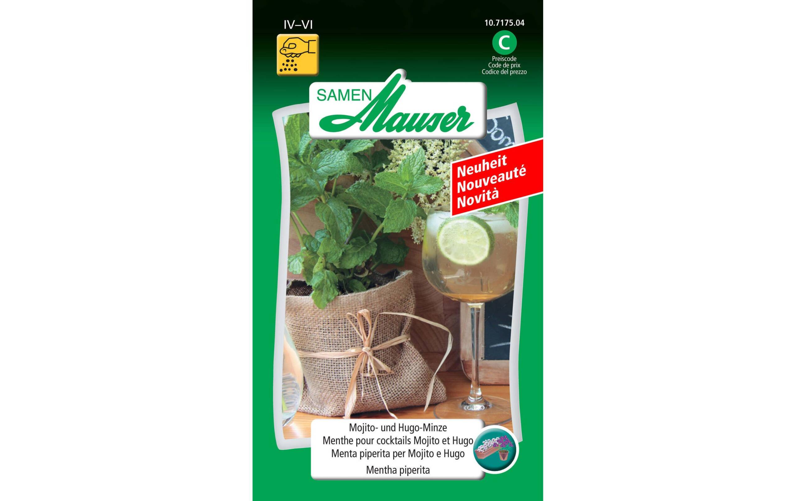 Mojito HugoMinze Mentha piperita