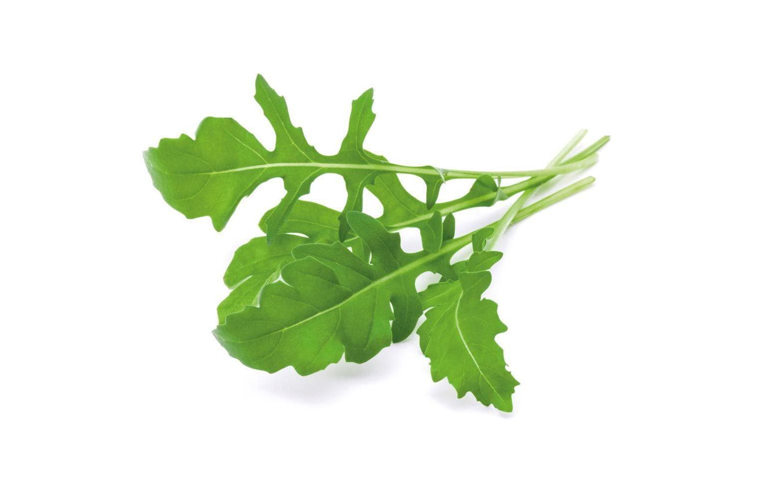 Click and Grow Rucola Nachfüllpackung 3er Set