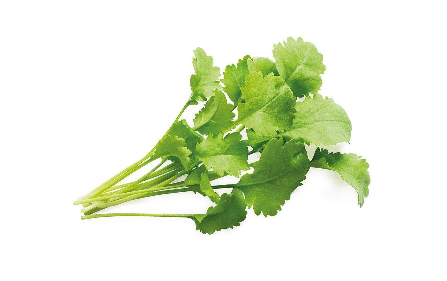 Click and Grow Kresse Nachfüllpackung 3er Set